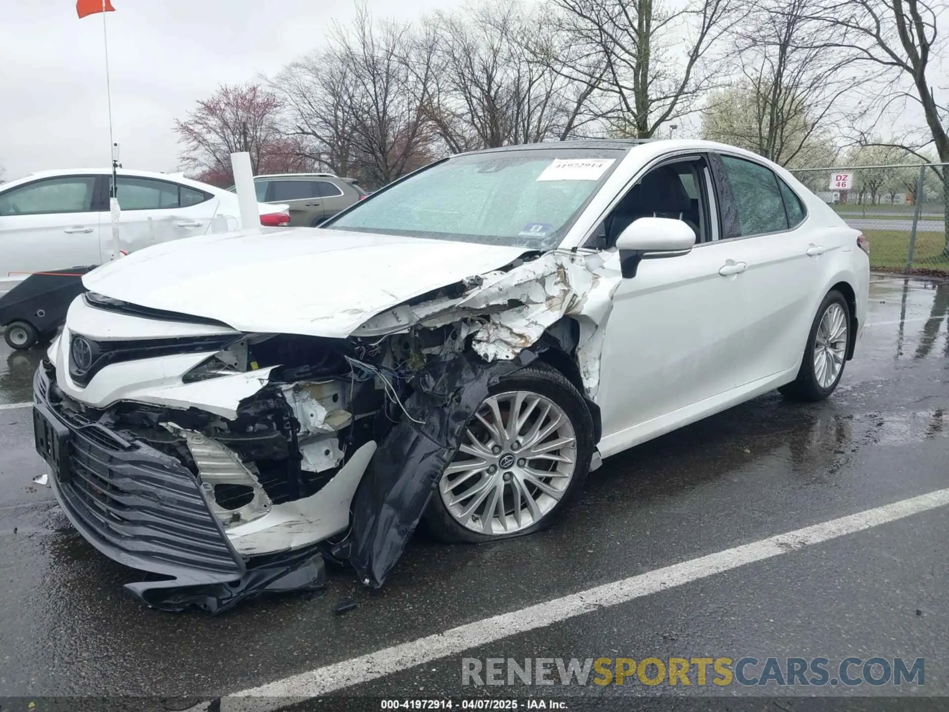6 Photograph of a damaged car 4T1B11HK2KU842119 TOYOTA CAMRY 2019