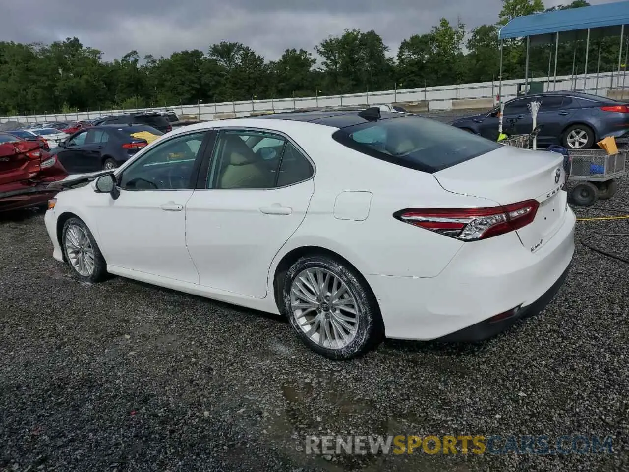 2 Photograph of a damaged car 4T1B11HK2KU856666 TOYOTA CAMRY 2019