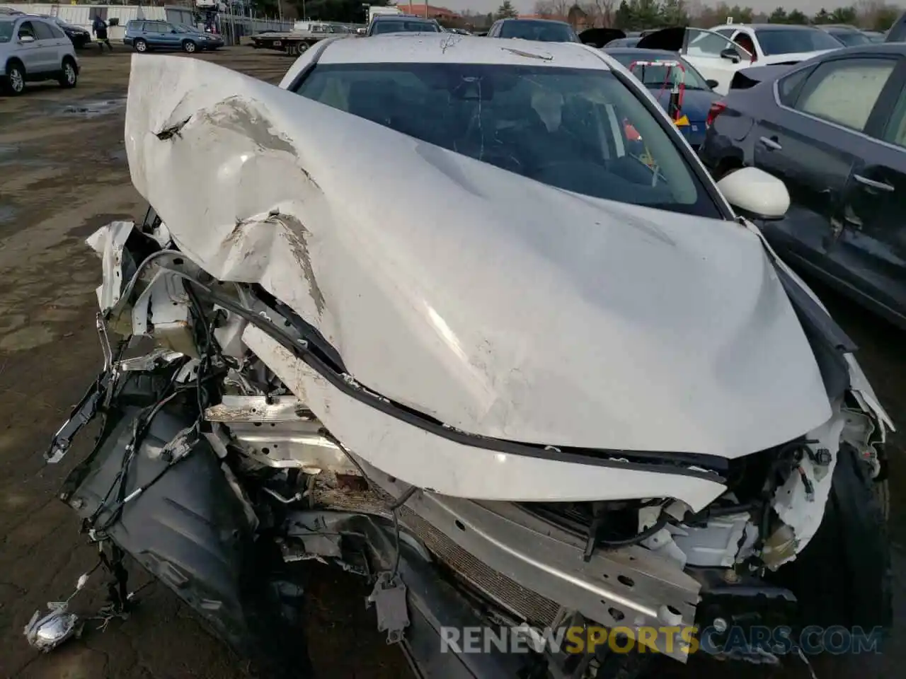 7 Photograph of a damaged car 4T1B11HK3KU185816 TOYOTA CAMRY 2019