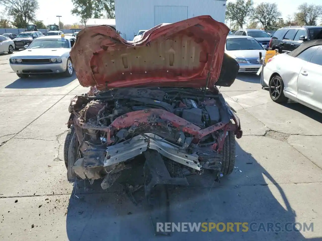 5 Photograph of a damaged car 4T1B11HK3KU210150 TOYOTA CAMRY 2019