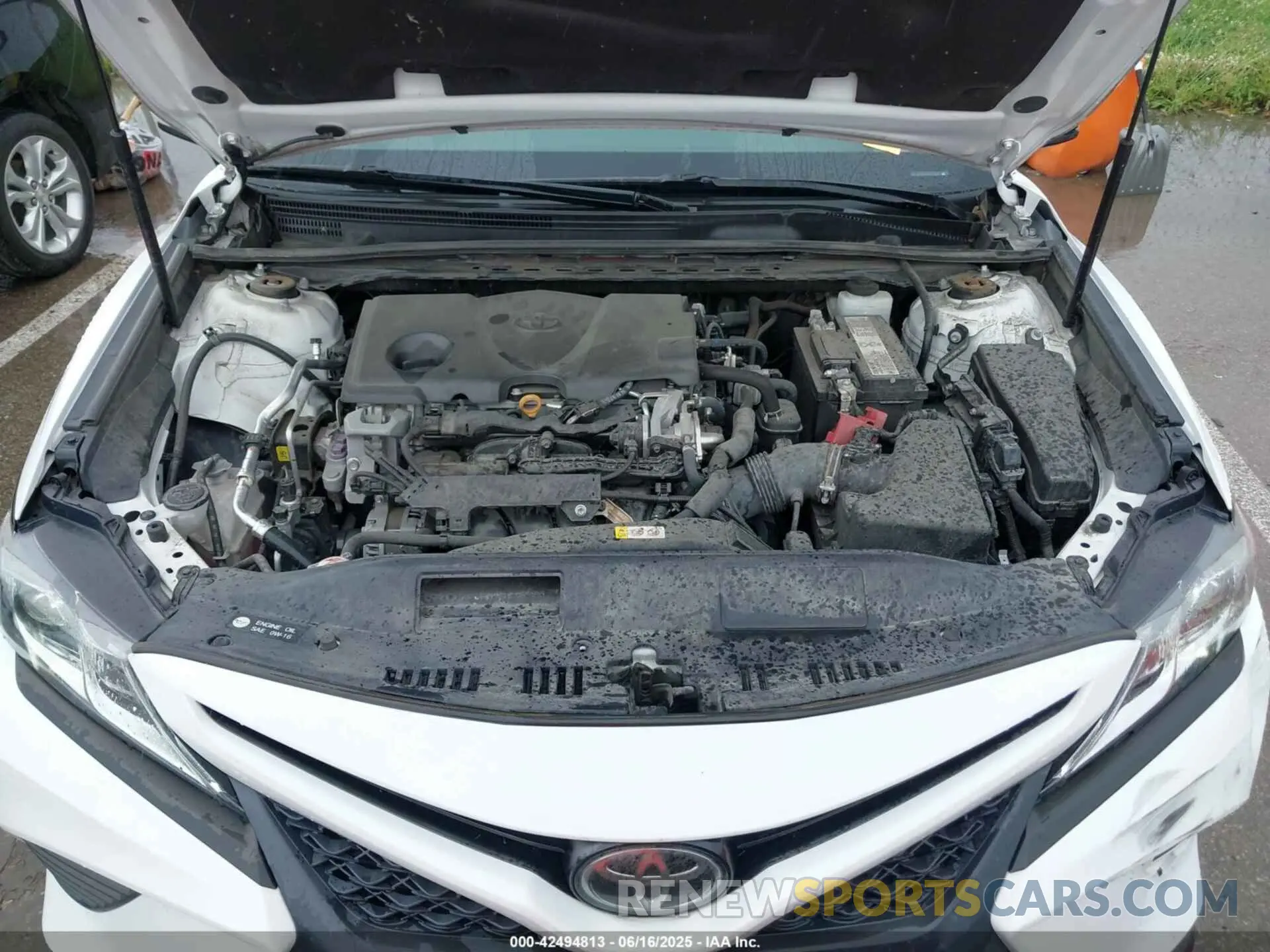 10 Photograph of a damaged car 4T1B11HK3KU221939 TOYOTA CAMRY 2019