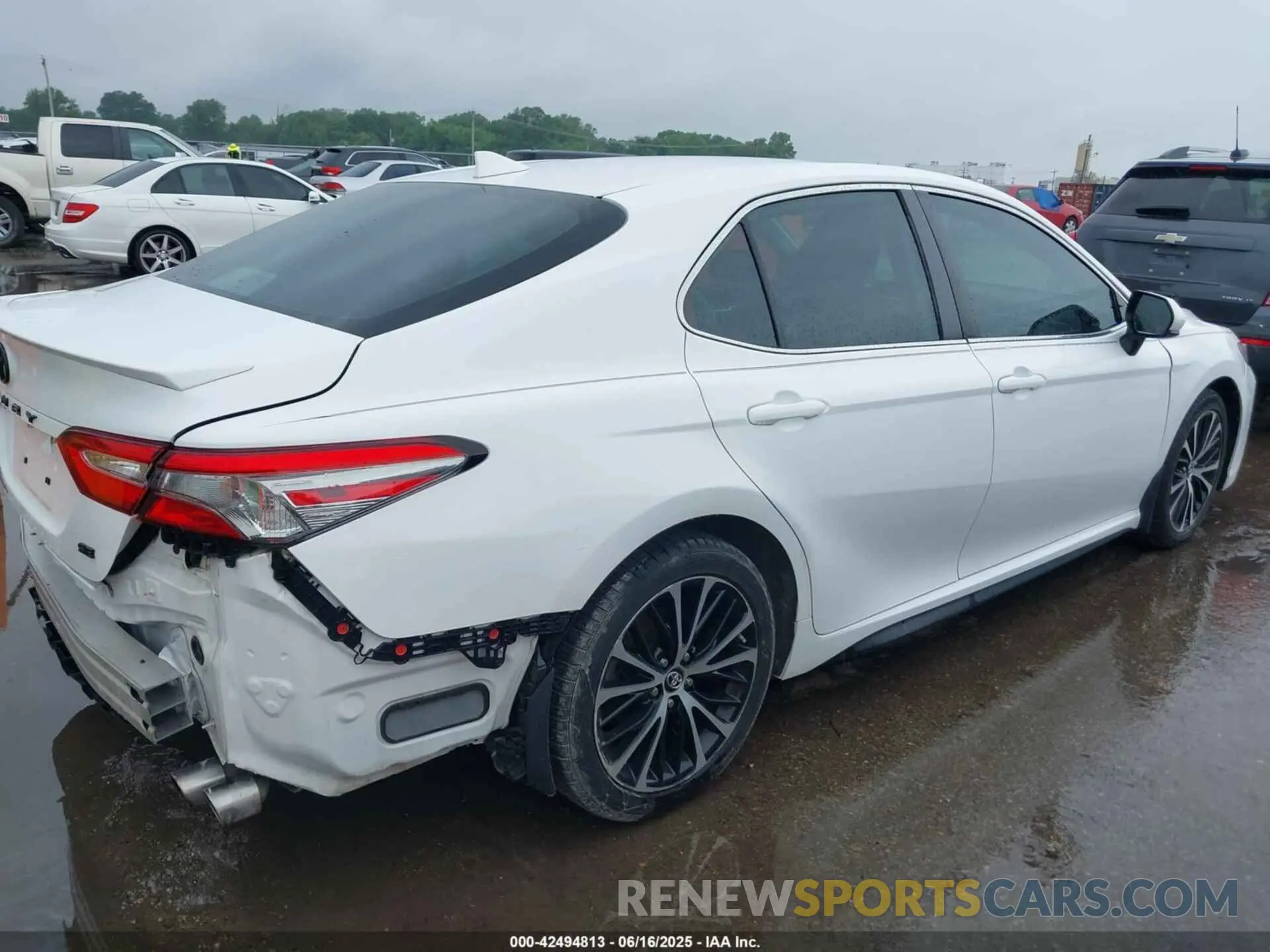 4 Photograph of a damaged car 4T1B11HK3KU221939 TOYOTA CAMRY 2019