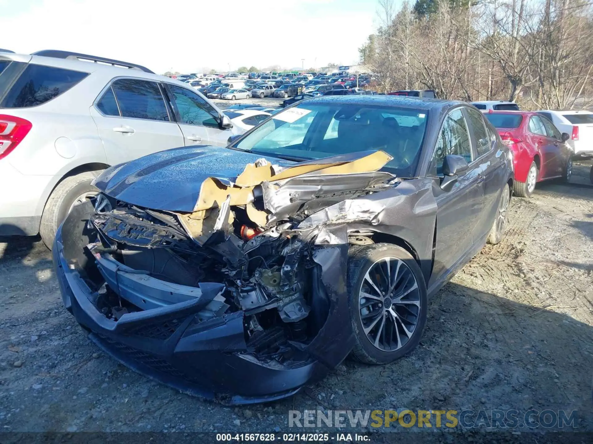 2 Photograph of a damaged car 4T1B11HK3KU231662 TOYOTA CAMRY 2019