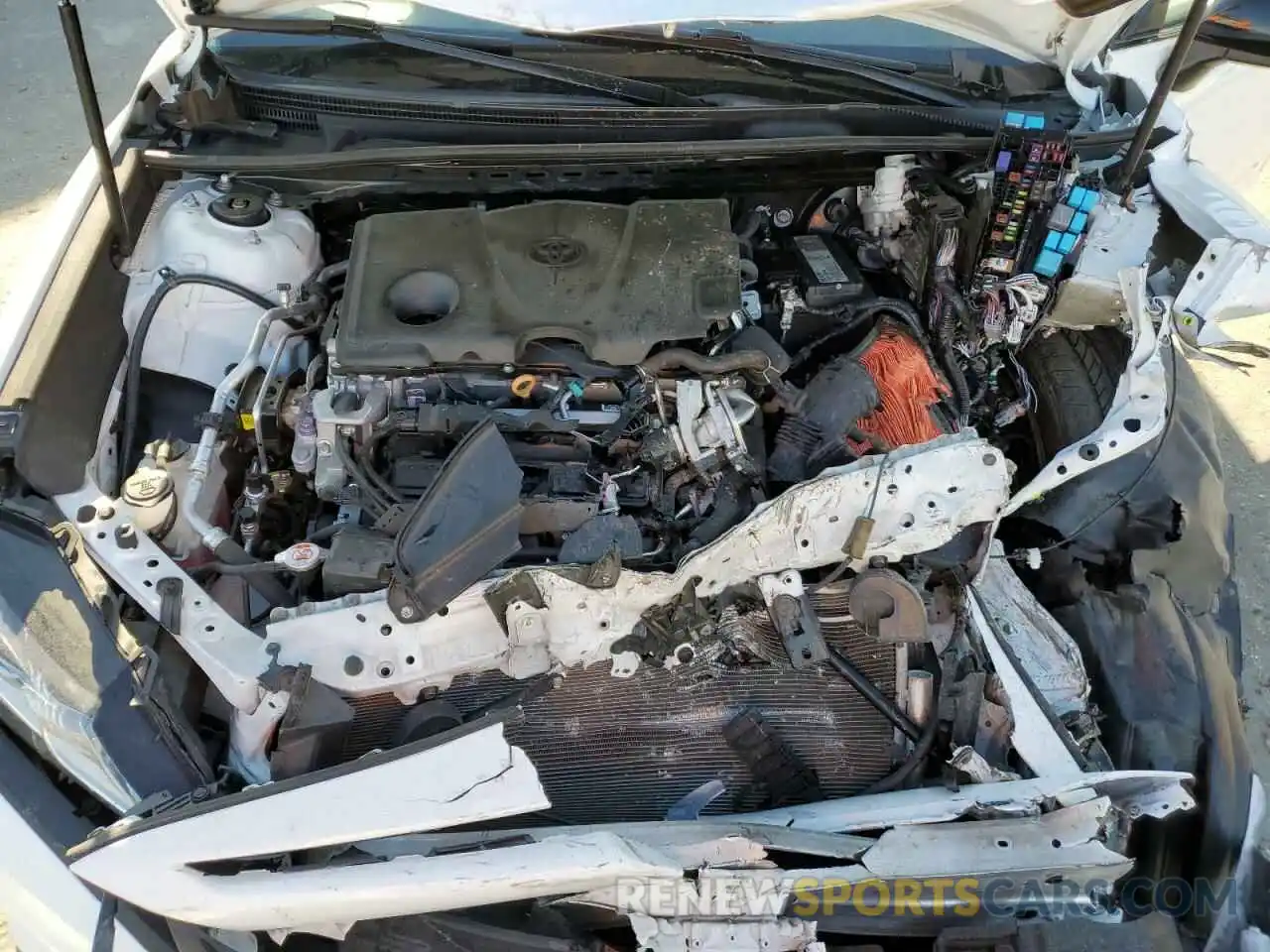 11 Photograph of a damaged car 4T1B11HK3KU246923 TOYOTA CAMRY 2019