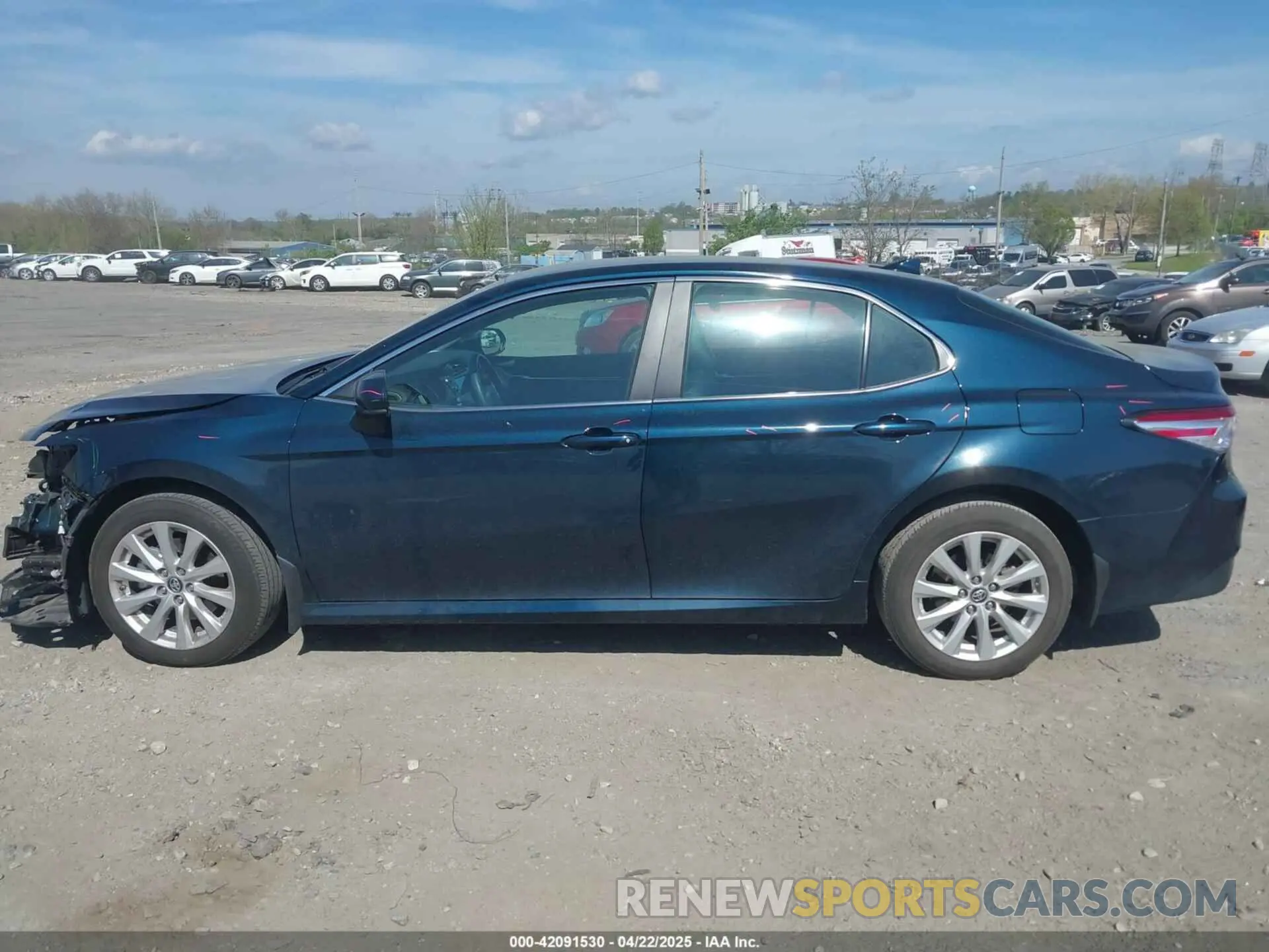 14 Photograph of a damaged car 4T1B11HK3KU254083 TOYOTA CAMRY 2019