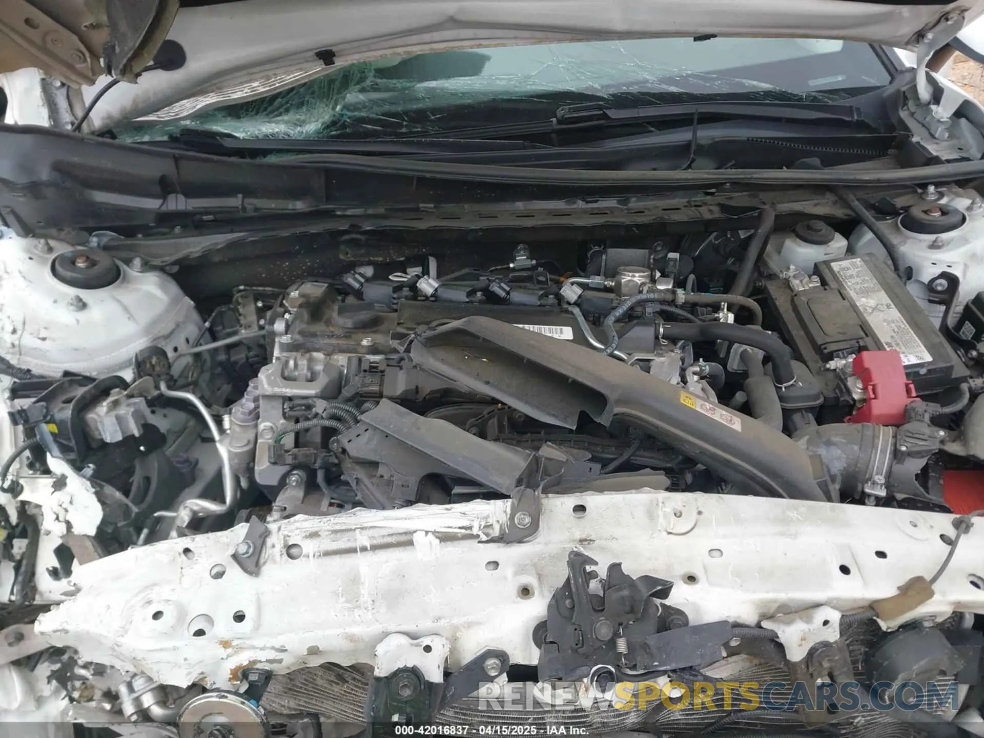 10 Photograph of a damaged car 4T1B11HK3KU281333 TOYOTA CAMRY 2019
