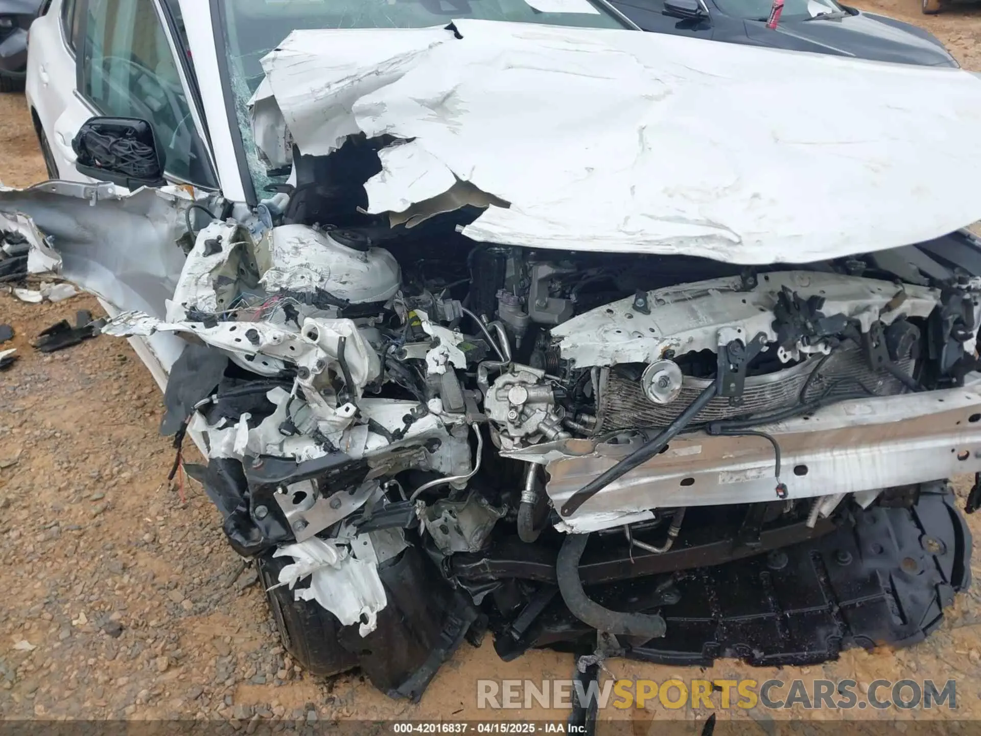 17 Photograph of a damaged car 4T1B11HK3KU281333 TOYOTA CAMRY 2019