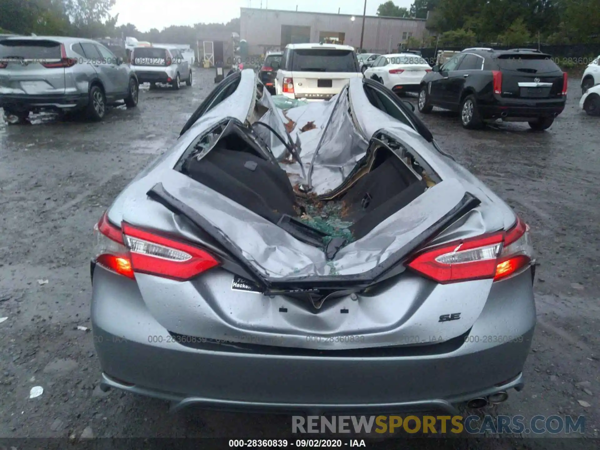 6 Photograph of a damaged car 4T1B11HK3KU287245 TOYOTA CAMRY 2019