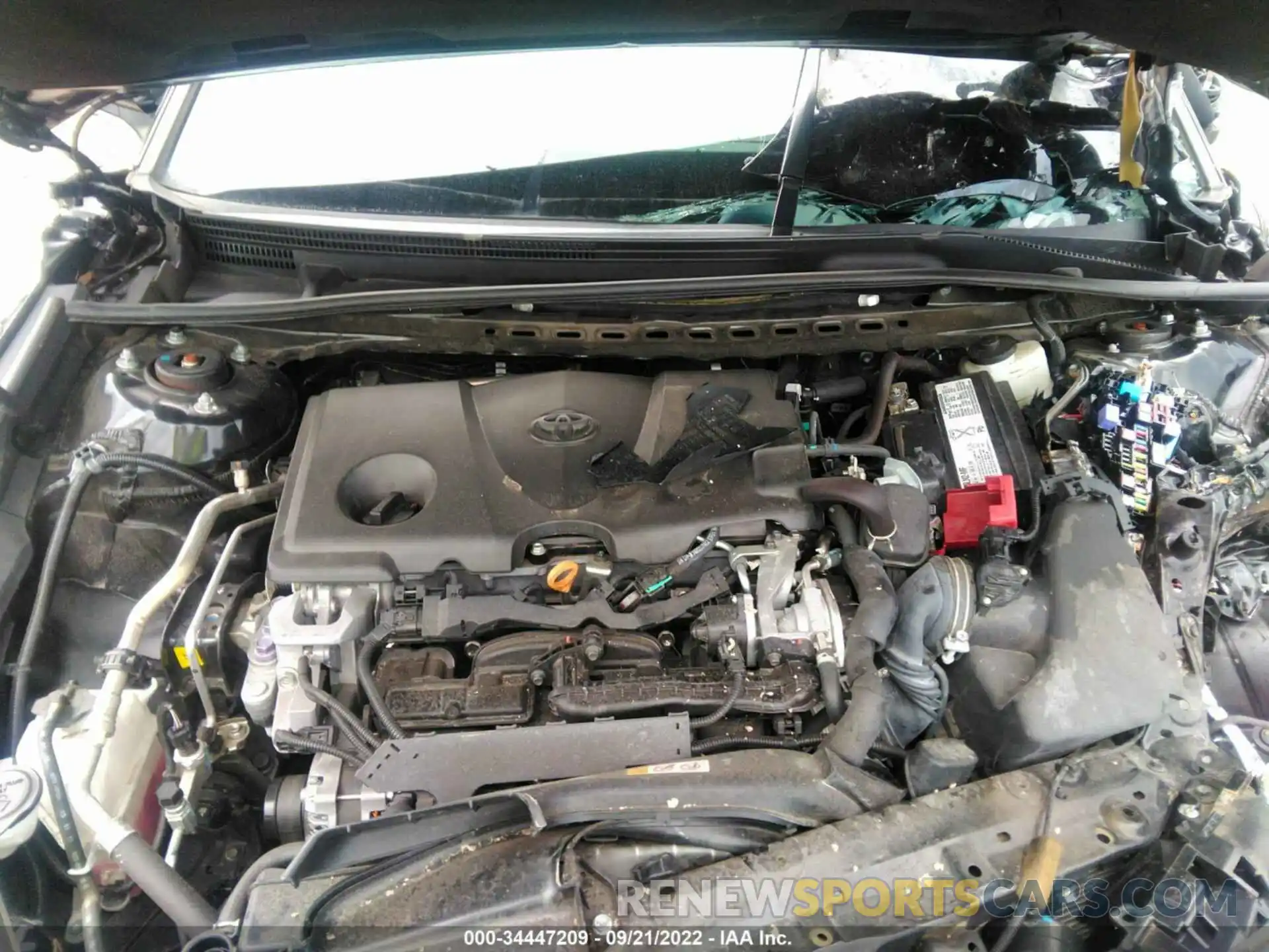 10 Photograph of a damaged car 4T1B11HK3KU294812 TOYOTA CAMRY 2019