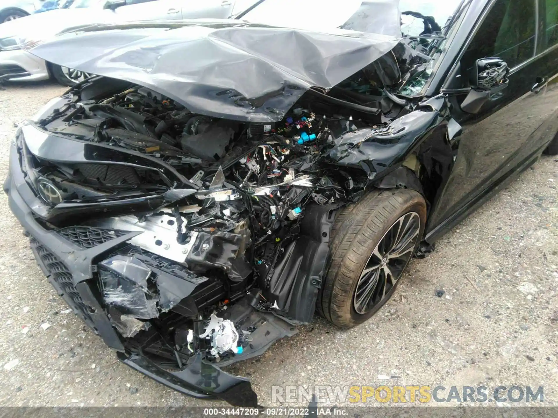 6 Photograph of a damaged car 4T1B11HK3KU294812 TOYOTA CAMRY 2019