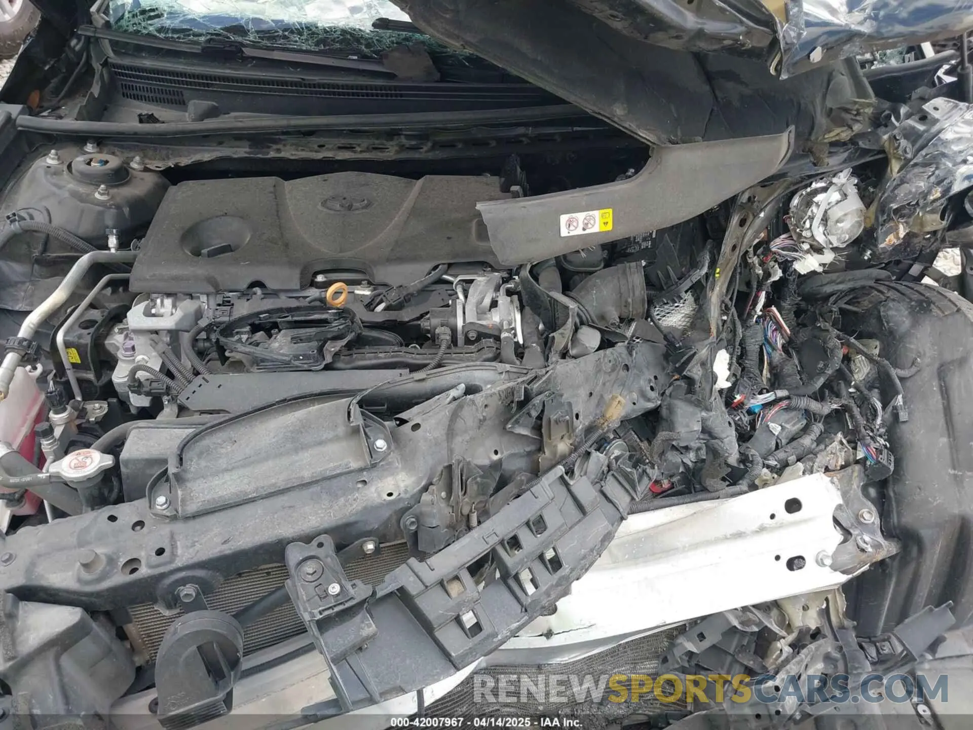 10 Photograph of a damaged car 4T1B11HK3KU706971 TOYOTA CAMRY 2019