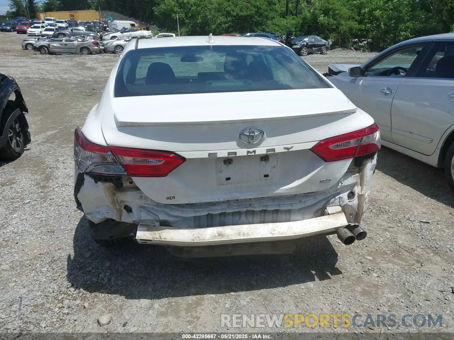 16 Photograph of a damaged car 4T1B11HK3KU760643 TOYOTA CAMRY 2019