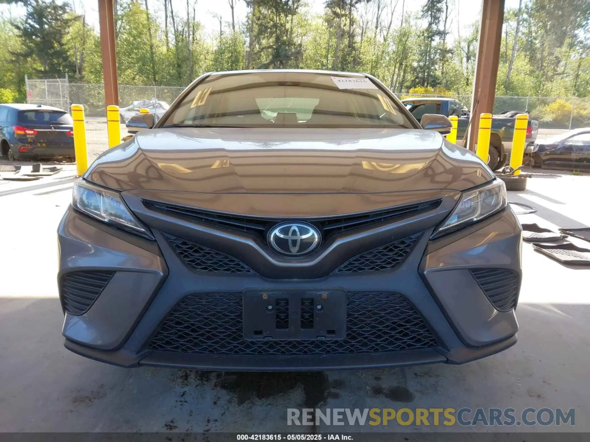13 Photograph of a damaged car 4T1B11HK3KU795392 TOYOTA CAMRY 2019