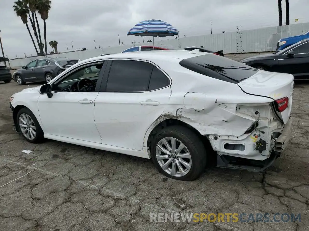 2 Photograph of a damaged car 4T1B11HK3KU835390 TOYOTA CAMRY 2019