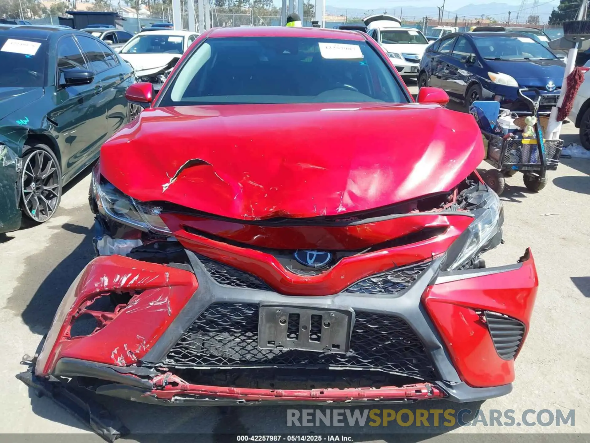 12 Photograph of a damaged car 4T1B11HK4KU188434 TOYOTA CAMRY 2019