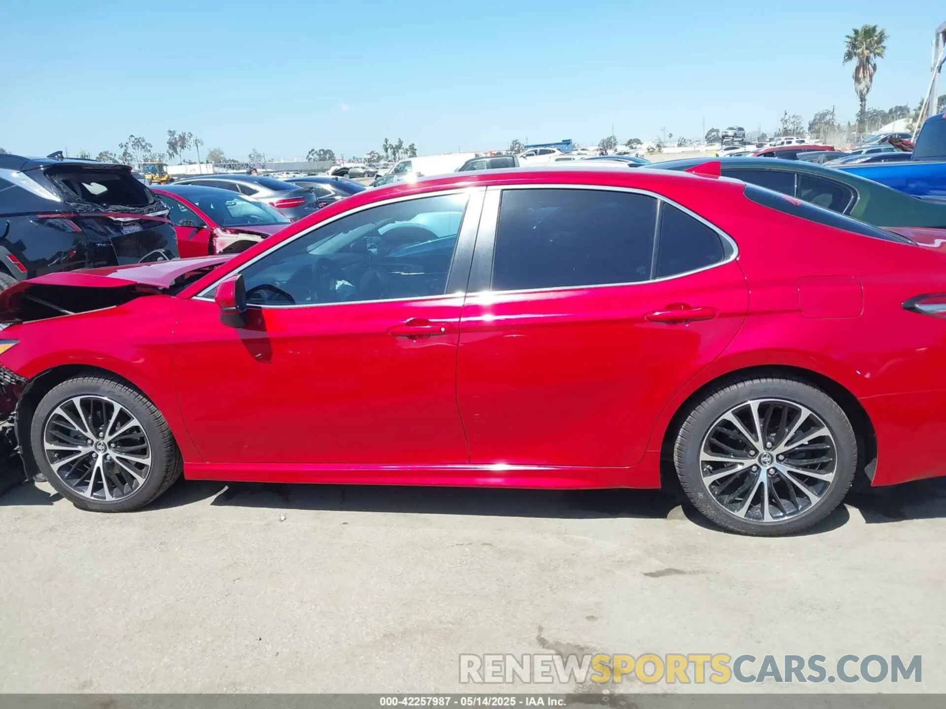 14 Photograph of a damaged car 4T1B11HK4KU188434 TOYOTA CAMRY 2019