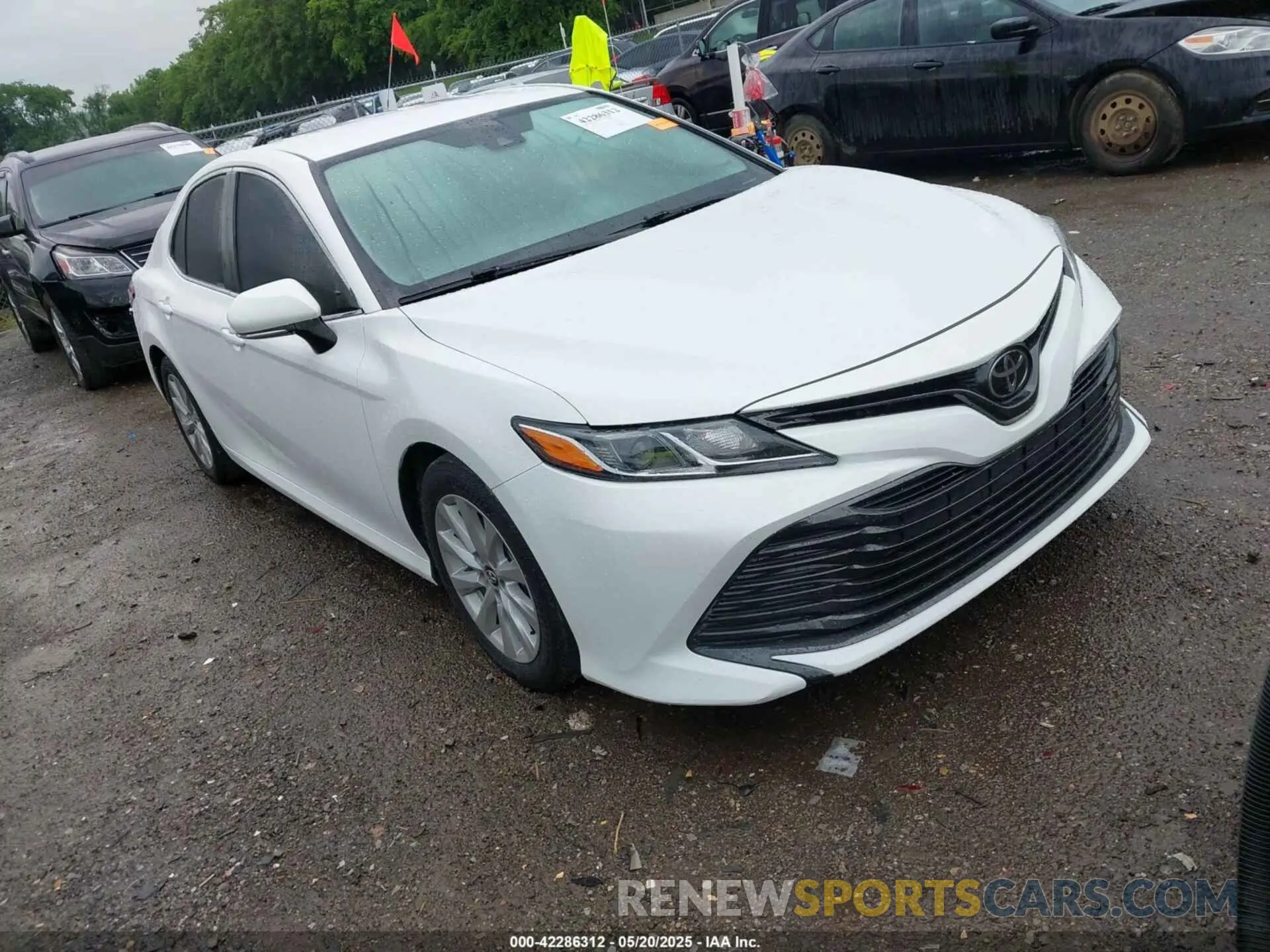 1 Photograph of a damaged car 4T1B11HK4KU192631 TOYOTA CAMRY 2019