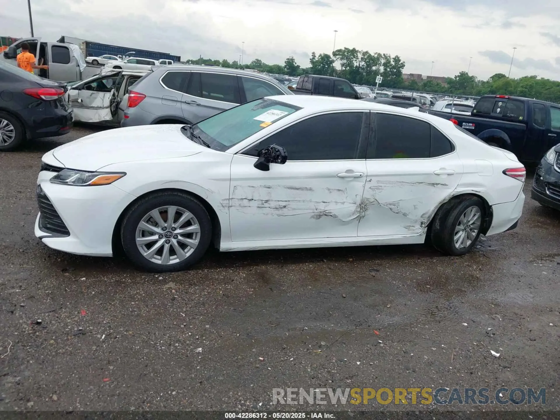 14 Photograph of a damaged car 4T1B11HK4KU192631 TOYOTA CAMRY 2019