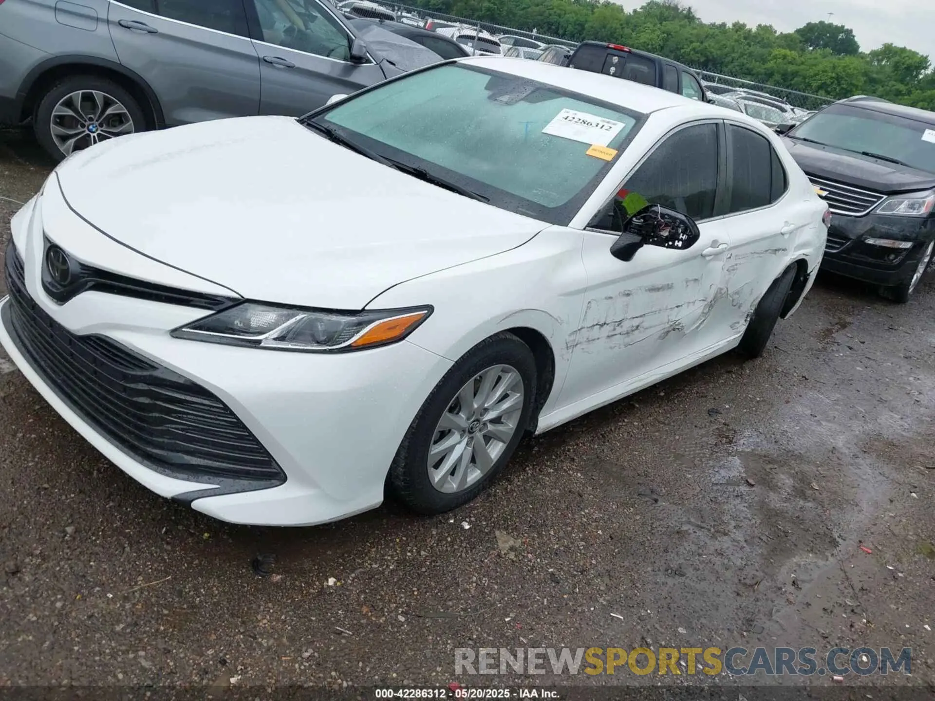 6 Photograph of a damaged car 4T1B11HK4KU192631 TOYOTA CAMRY 2019