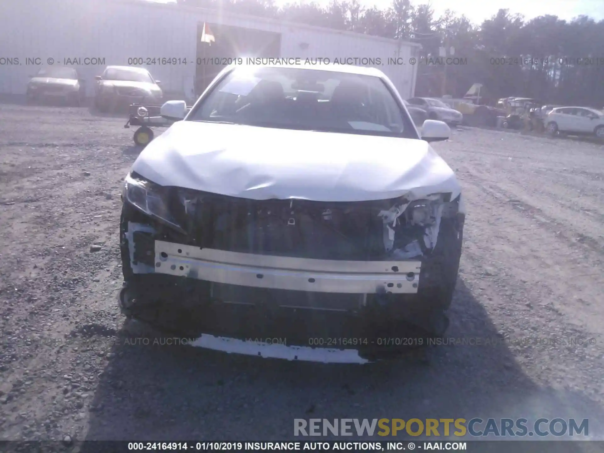 6 Photograph of a damaged car 4T1B11HK4KU197747 TOYOTA CAMRY 2019