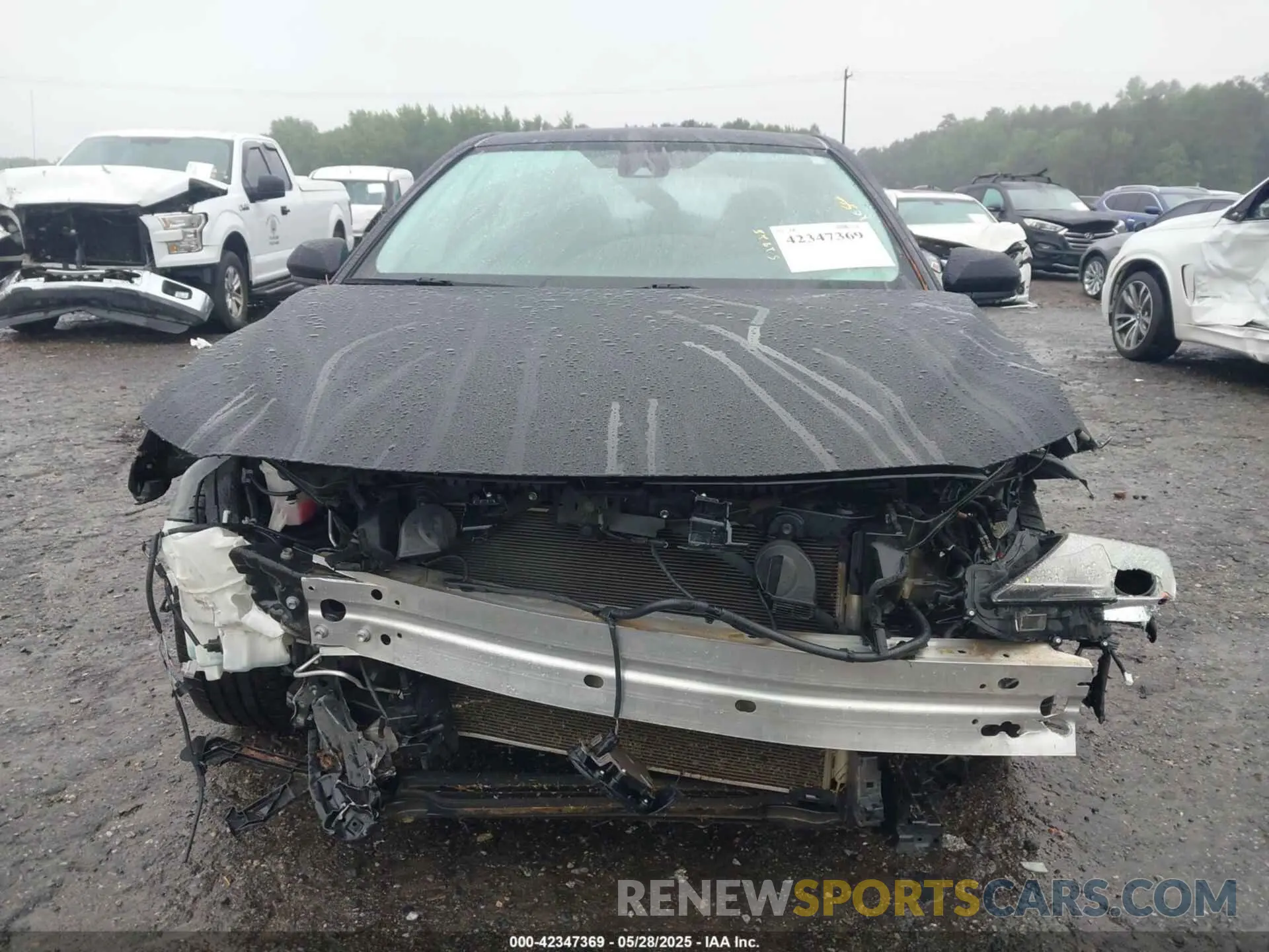 13 Photograph of a damaged car 4T1B11HK4KU199191 TOYOTA CAMRY 2019