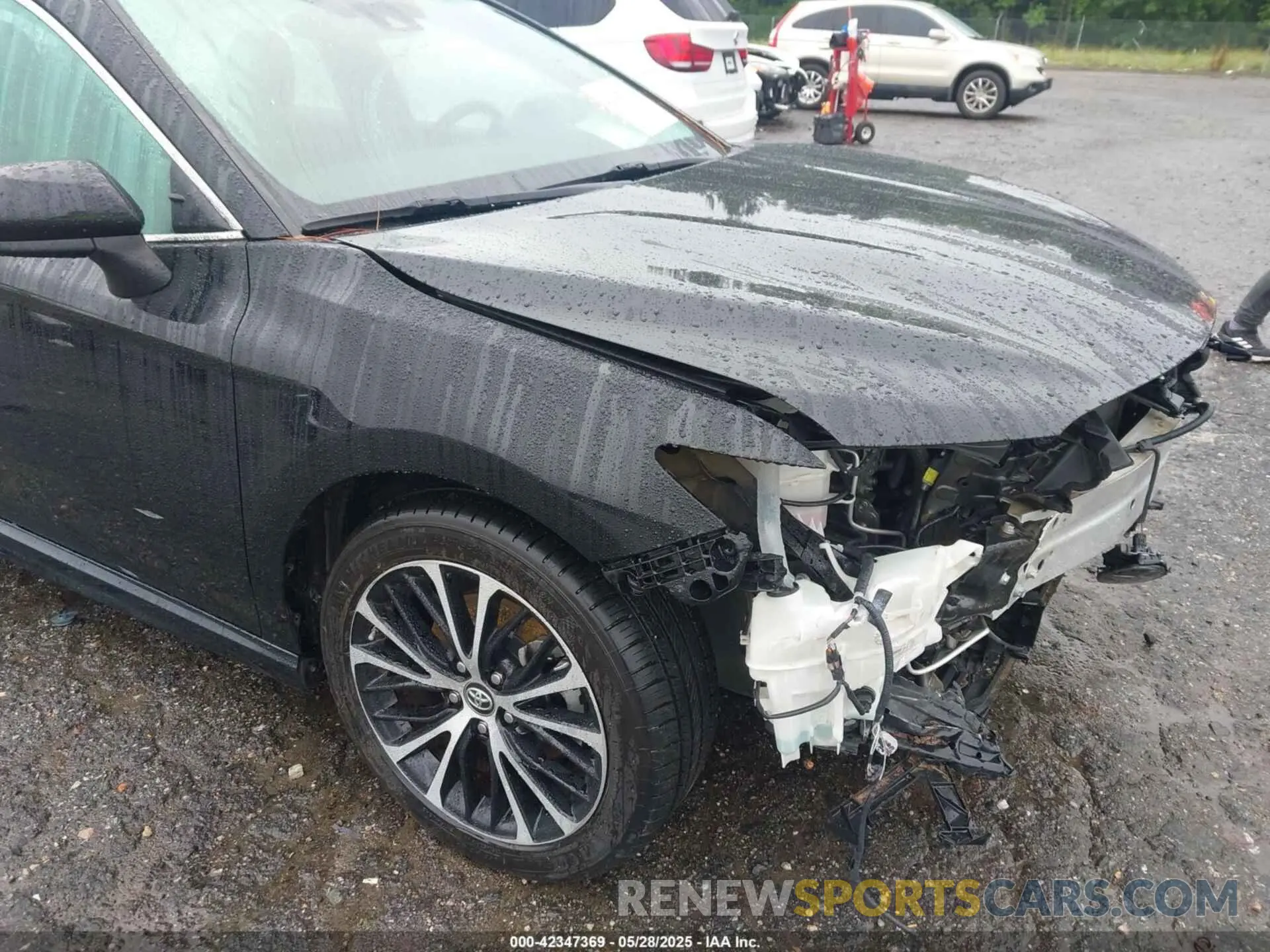 6 Photograph of a damaged car 4T1B11HK4KU199191 TOYOTA CAMRY 2019