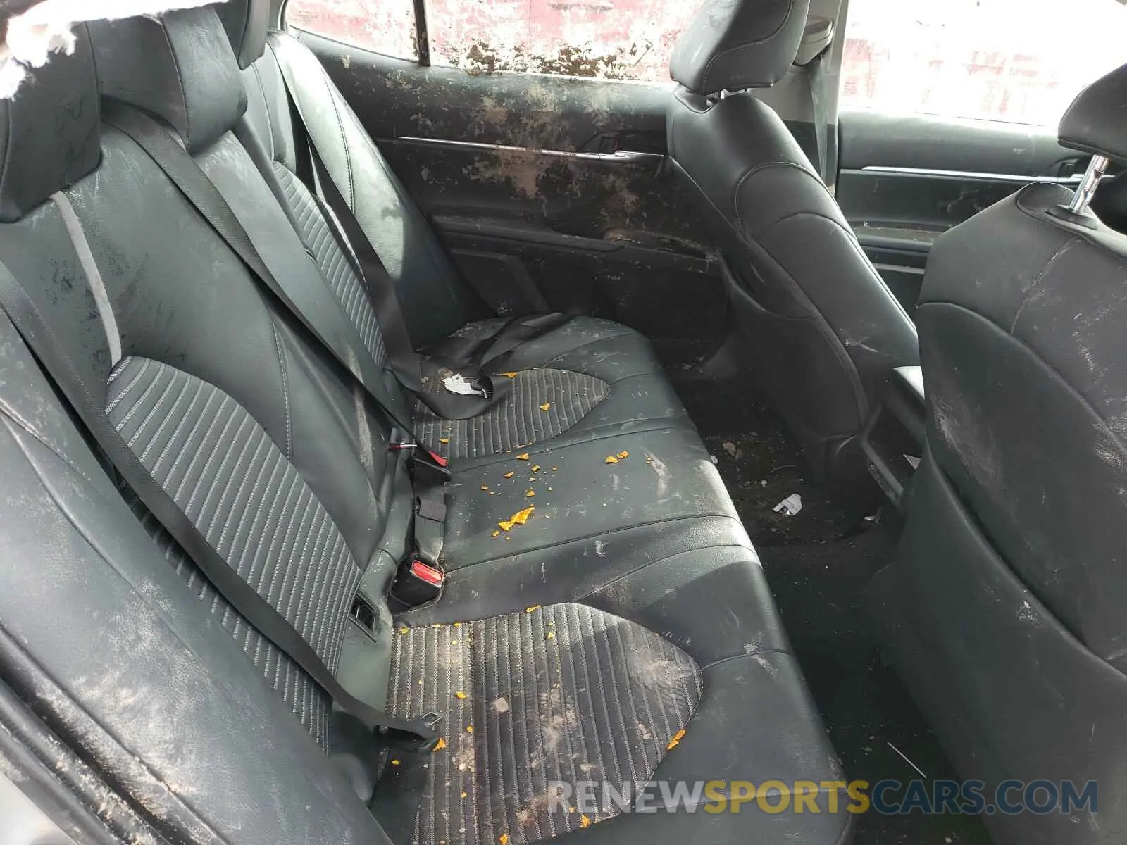 6 Photograph of a damaged car 4T1B11HK4KU229841 TOYOTA CAMRY 2019