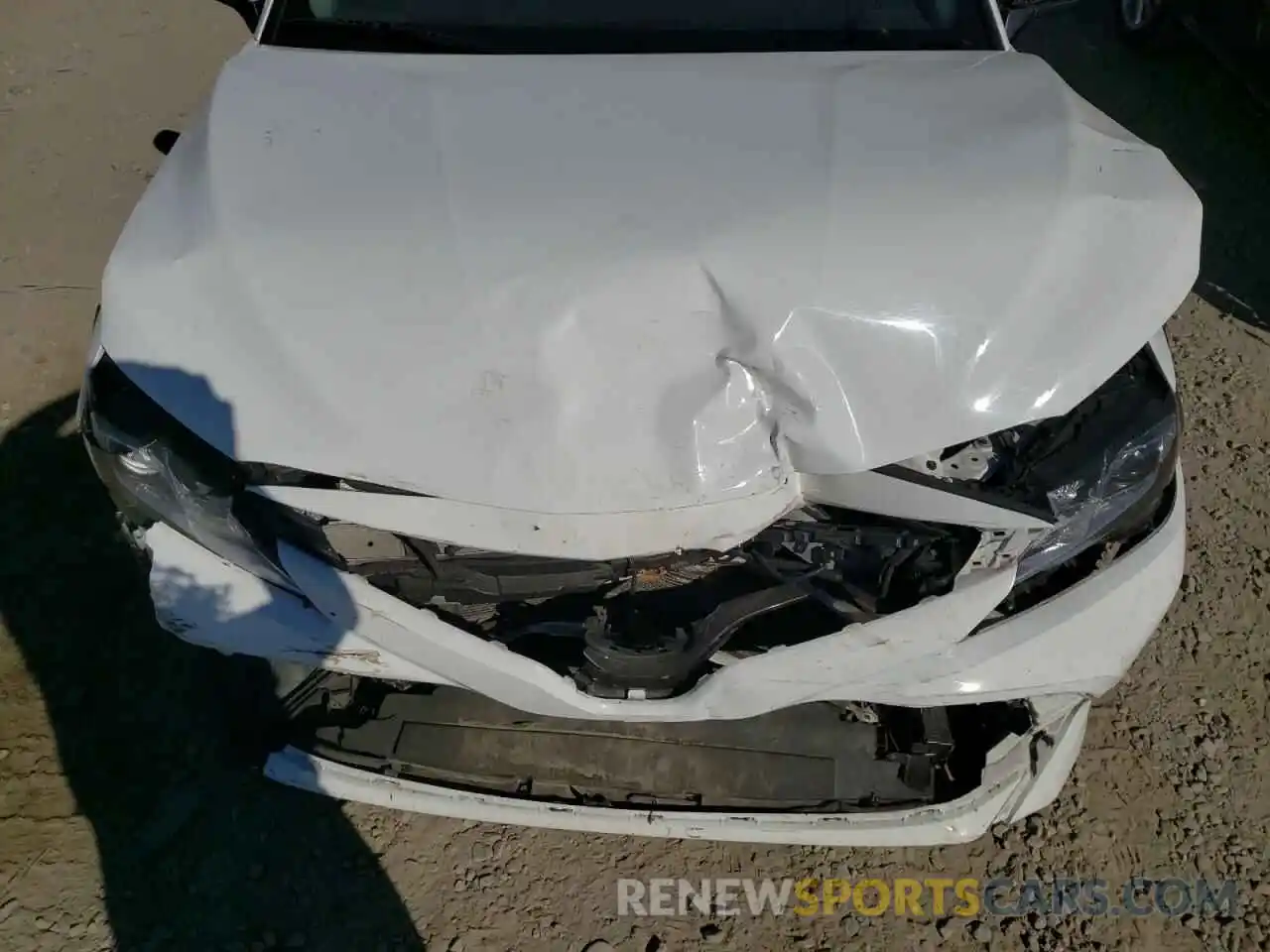 7 Photograph of a damaged car 4T1B11HK4KU230570 TOYOTA CAMRY 2019