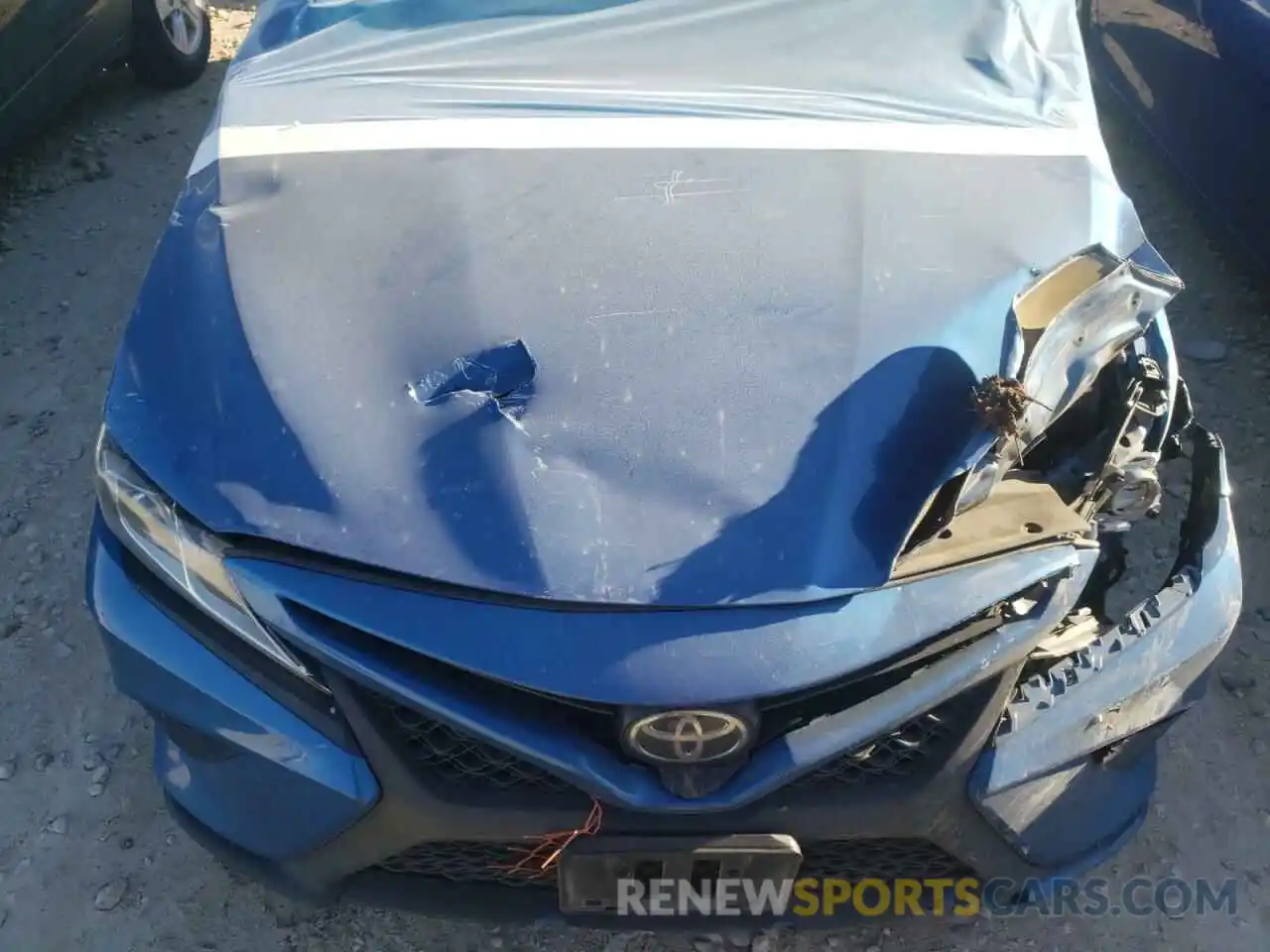 7 Photograph of a damaged car 4T1B11HK4KU232769 TOYOTA CAMRY 2019