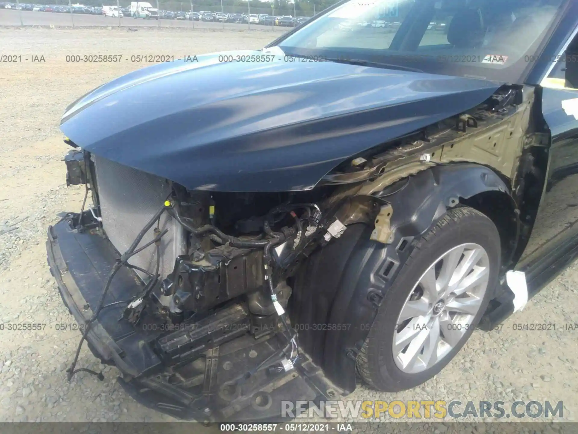 6 Photograph of a damaged car 4T1B11HK4KU234148 TOYOTA CAMRY 2019