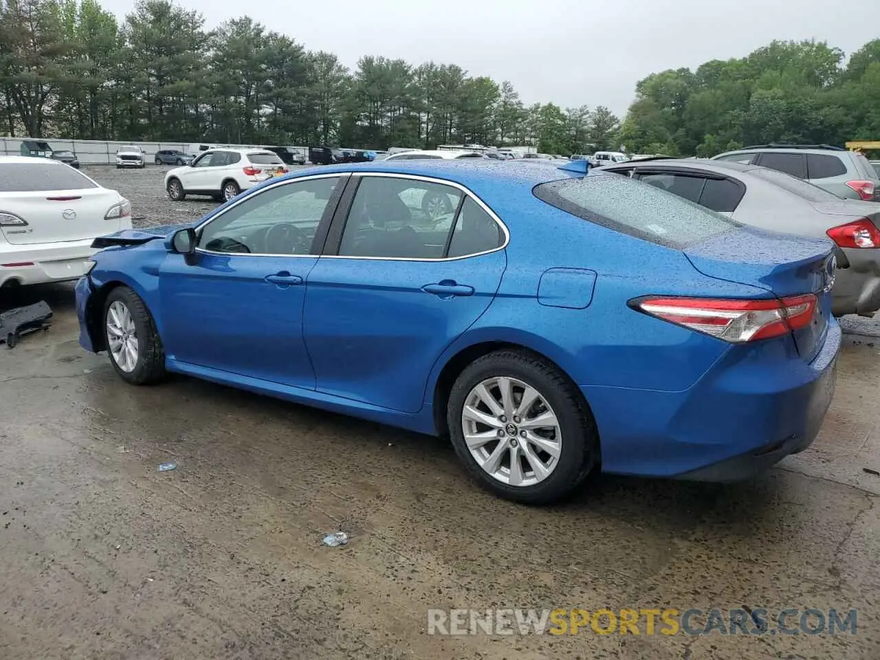 2 Photograph of a damaged car 4T1B11HK4KU254190 TOYOTA CAMRY 2019