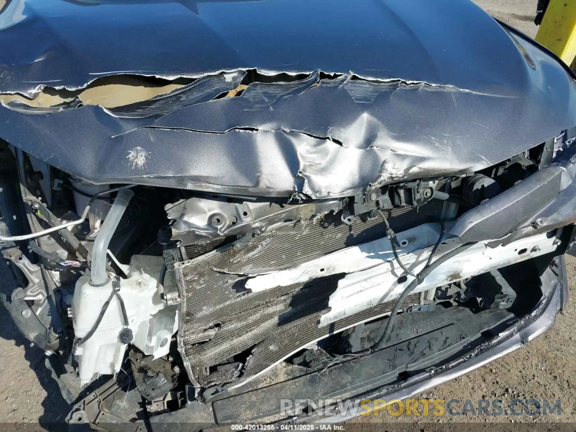 19 Photograph of a damaged car 4T1B11HK4KU254853 TOYOTA CAMRY 2019