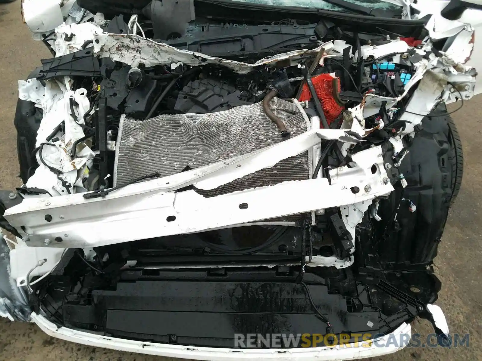 7 Photograph of a damaged car 4T1B11HK4KU268011 TOYOTA CAMRY 2019