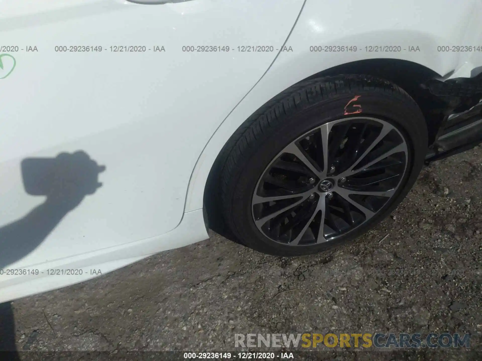 13 Photograph of a damaged car 4T1B11HK4KU283480 TOYOTA CAMRY 2019