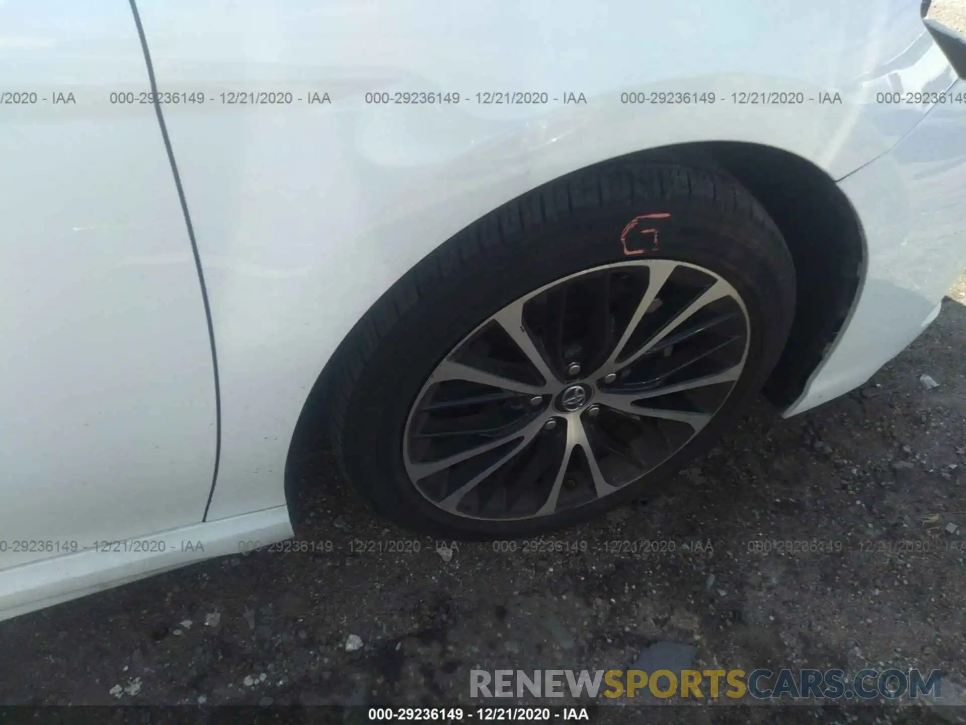 14 Photograph of a damaged car 4T1B11HK4KU283480 TOYOTA CAMRY 2019