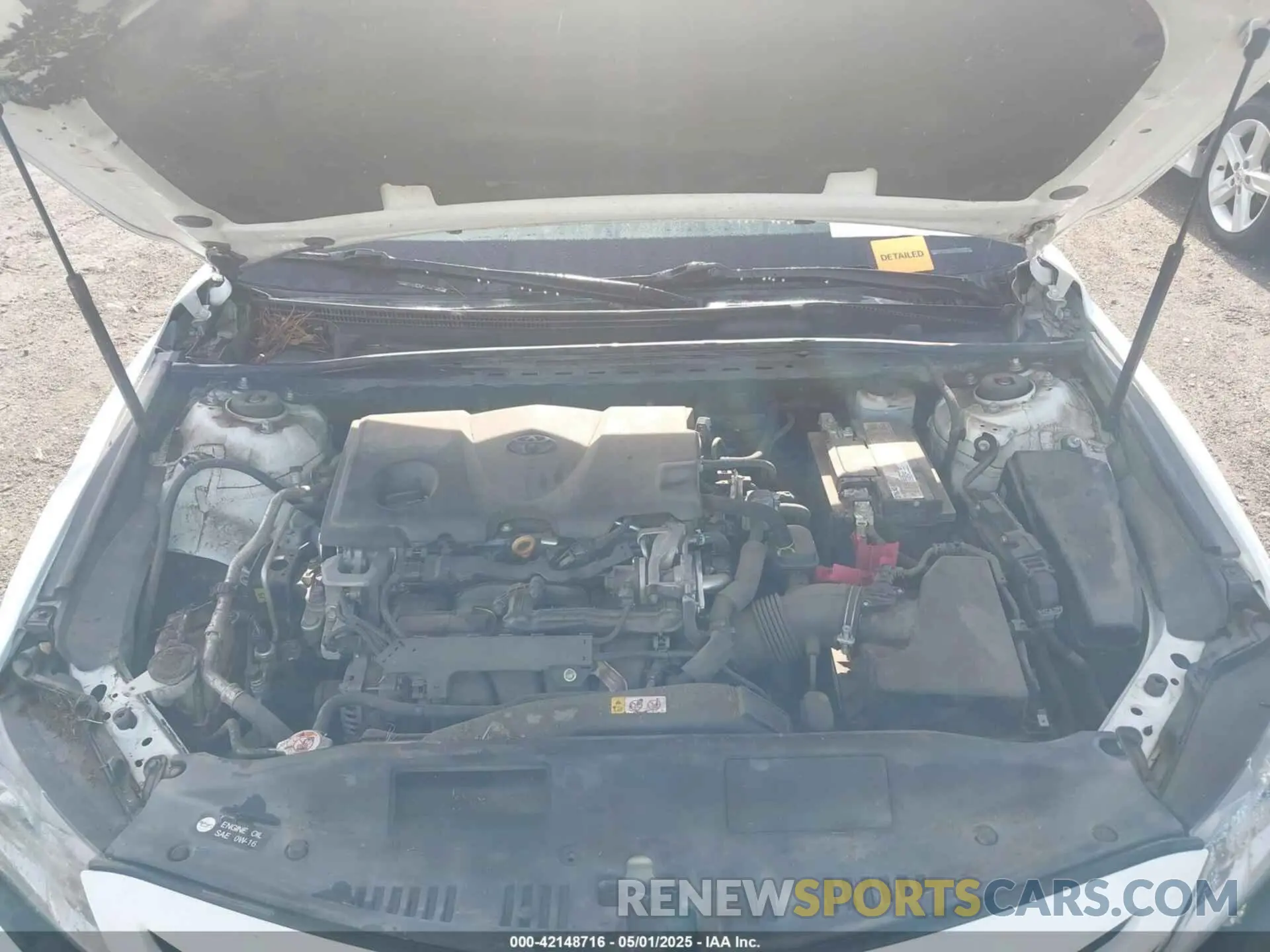 10 Photograph of a damaged car 4T1B11HK4KU293216 TOYOTA CAMRY 2019