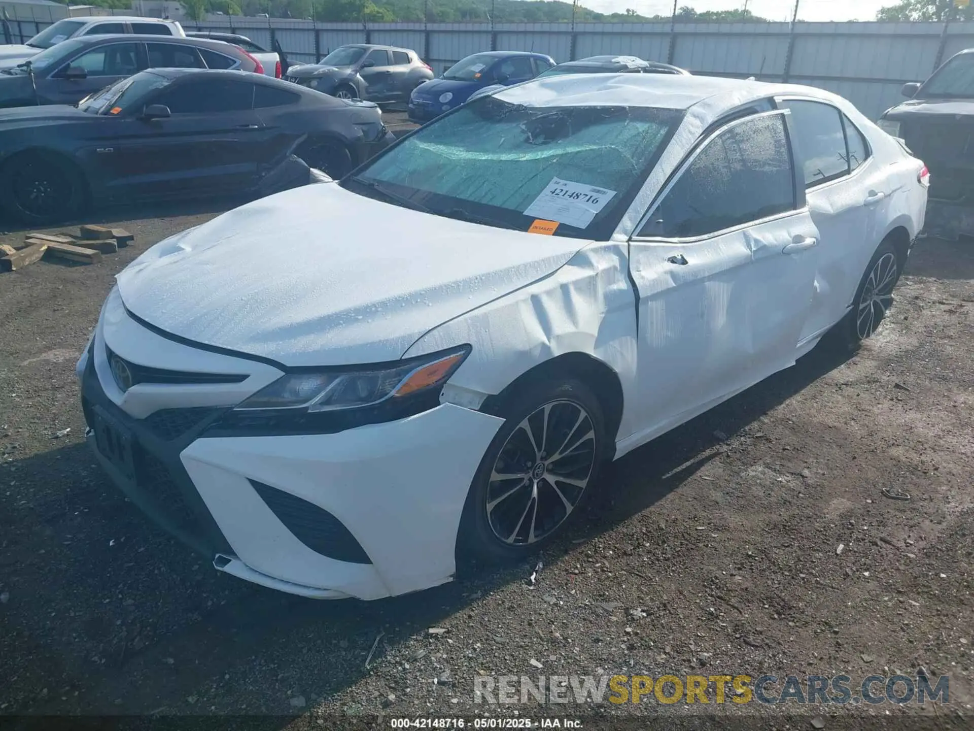 2 Photograph of a damaged car 4T1B11HK4KU293216 TOYOTA CAMRY 2019