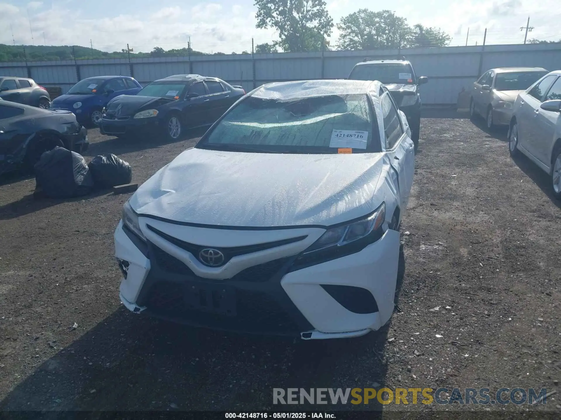 6 Photograph of a damaged car 4T1B11HK4KU293216 TOYOTA CAMRY 2019