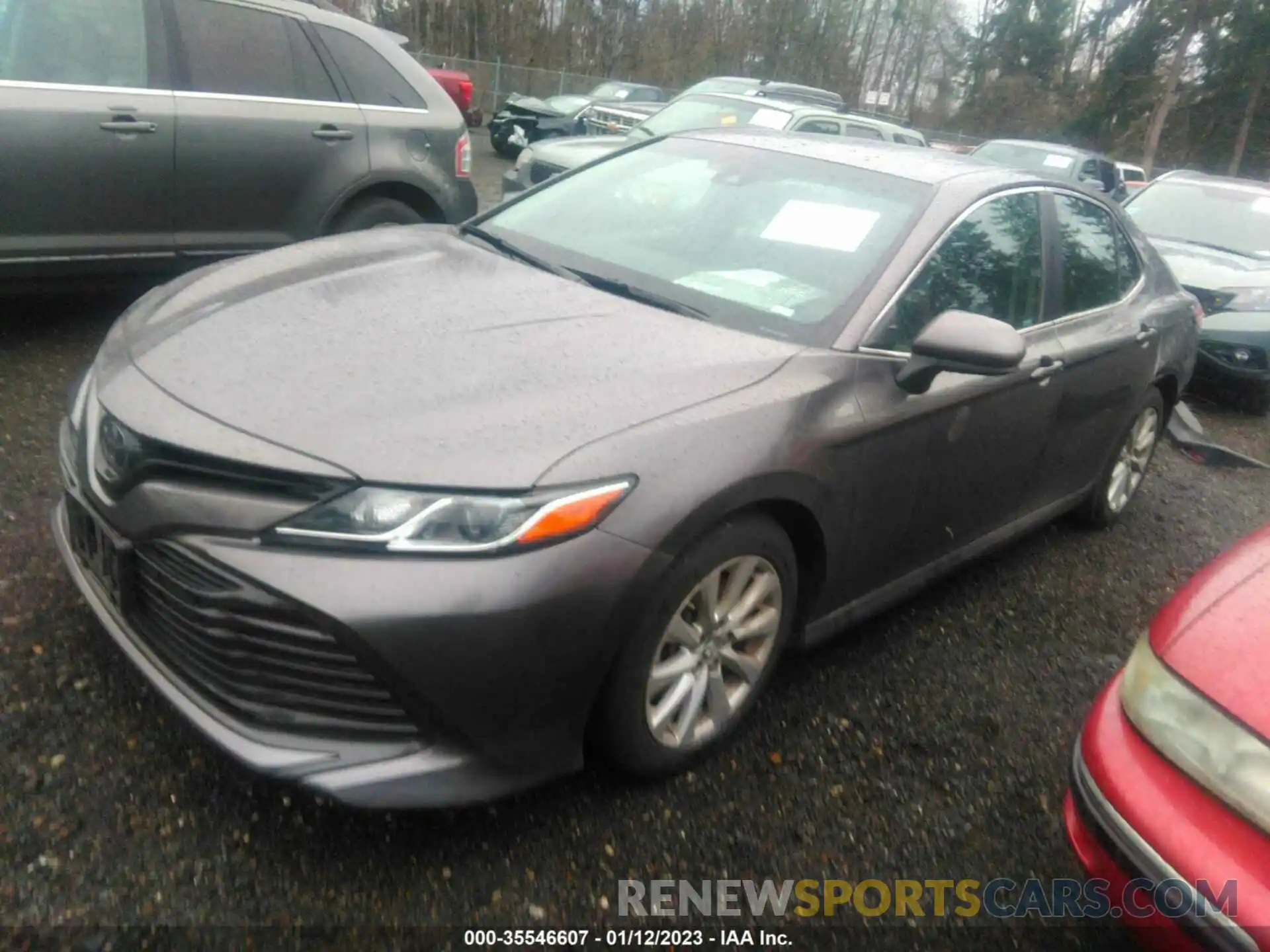 2 Photograph of a damaged car 4T1B11HK4KU690652 TOYOTA CAMRY 2019