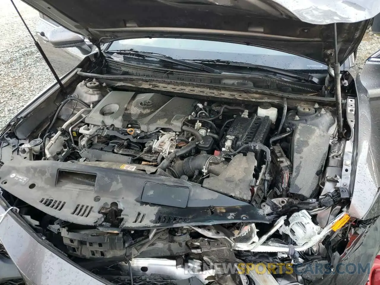 11 Photograph of a damaged car 4T1B11HK4KU723519 TOYOTA CAMRY 2019