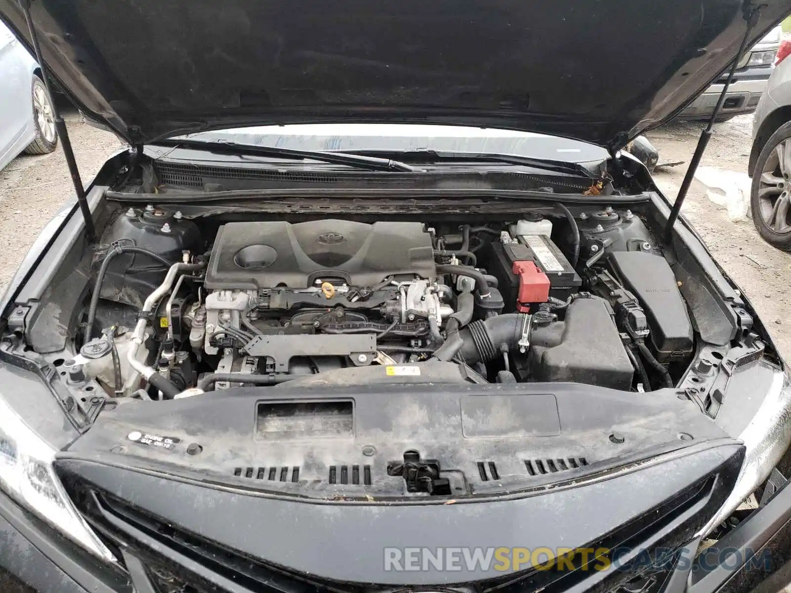 7 Photograph of a damaged car 4T1B11HK4KU731121 TOYOTA CAMRY 2019