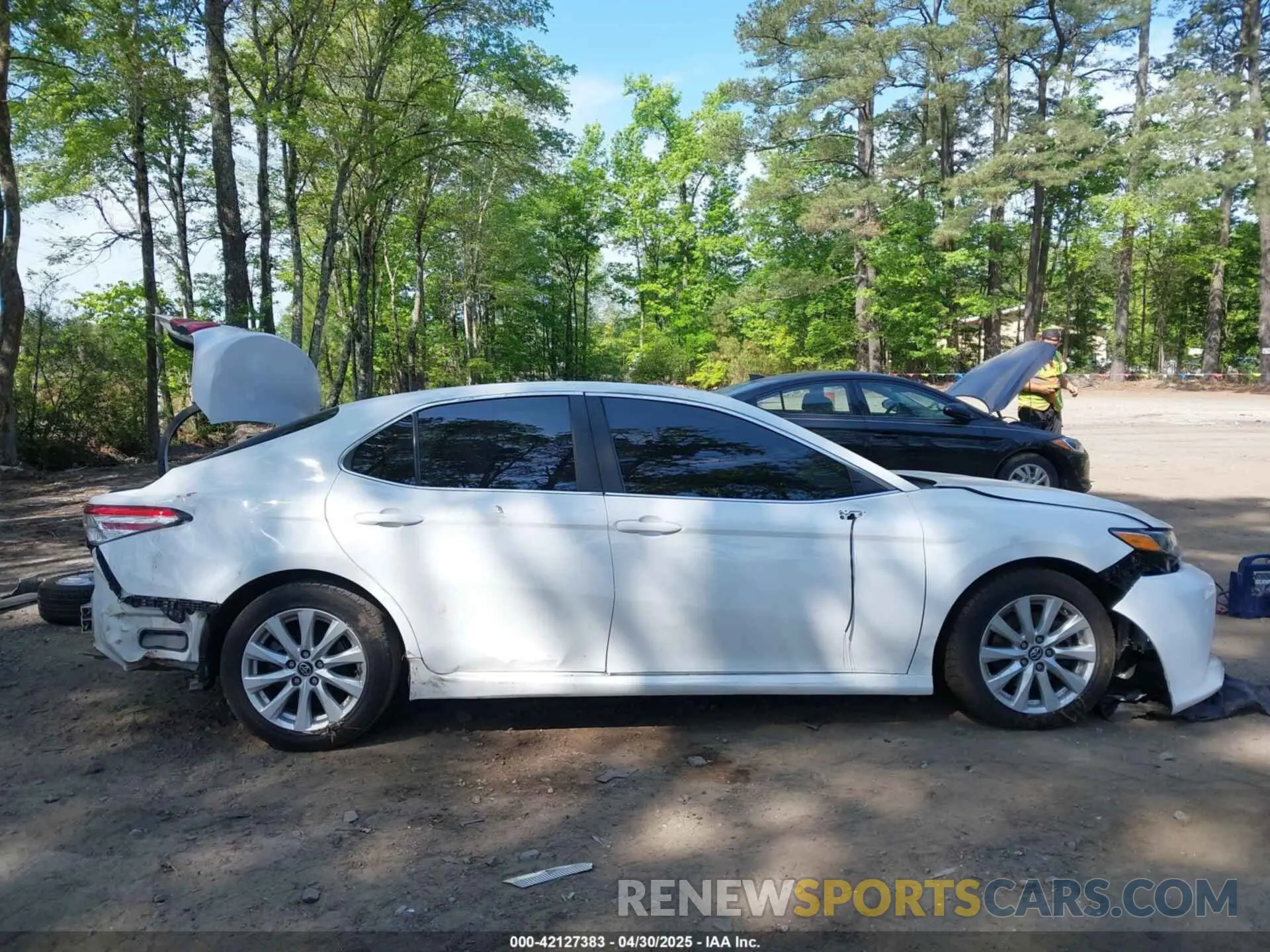 14 Photograph of a damaged car 4T1B11HK4KU743270 TOYOTA CAMRY 2019