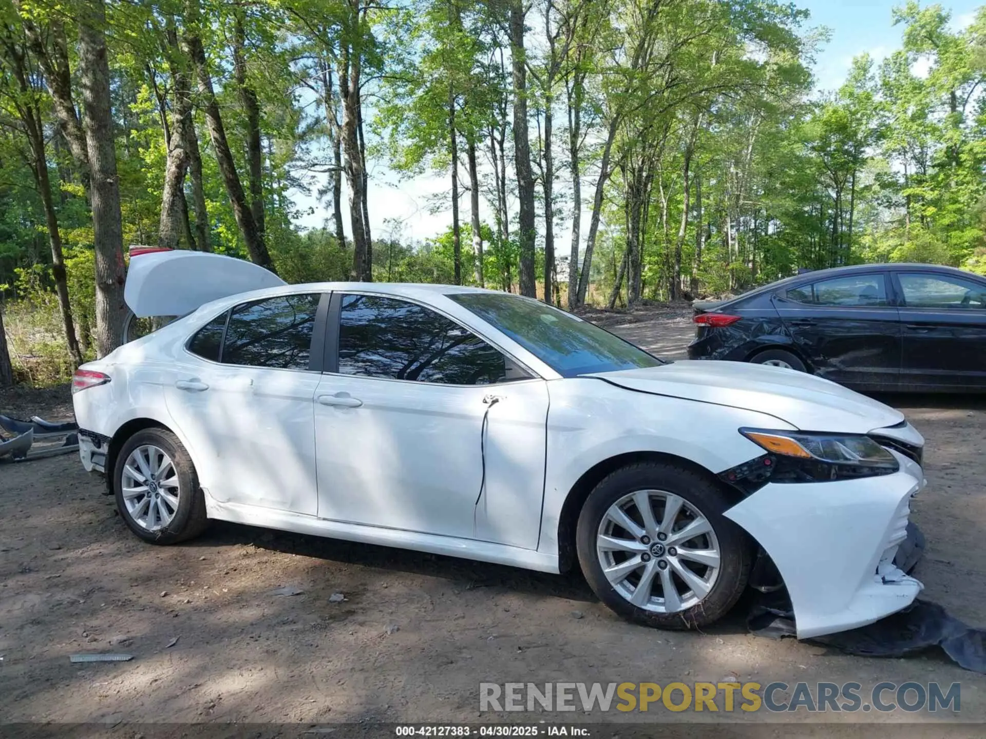 19 Photograph of a damaged car 4T1B11HK4KU743270 TOYOTA CAMRY 2019