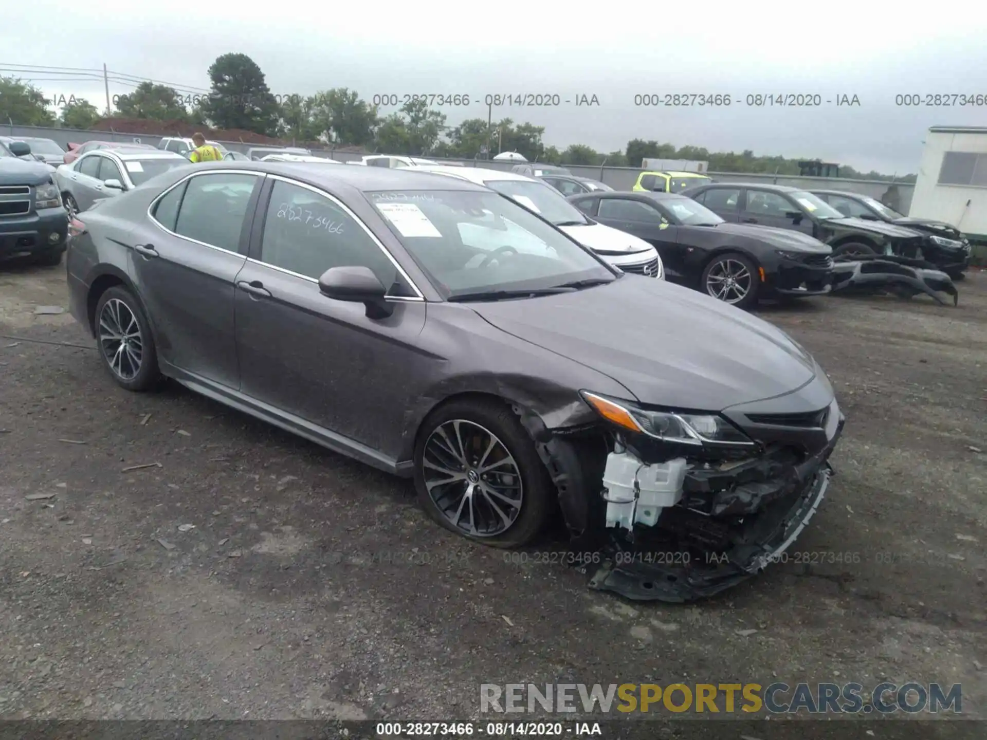 1 Photograph of a damaged car 4T1B11HK4KU770243 TOYOTA CAMRY 2019