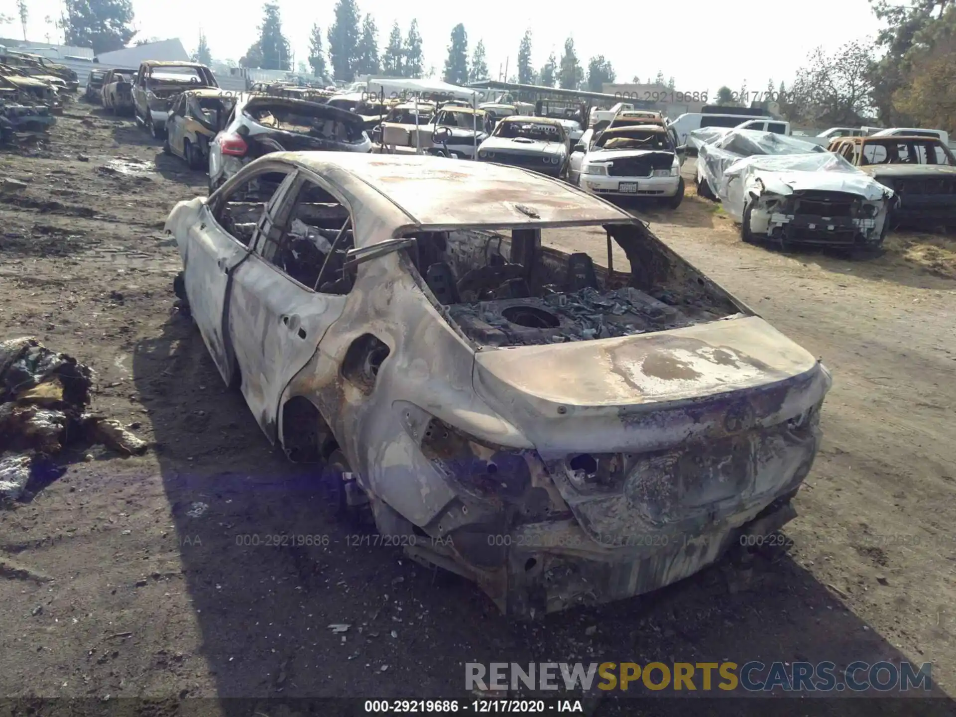 3 Photograph of a damaged car 4T1B11HK4KU781002 TOYOTA CAMRY 2019