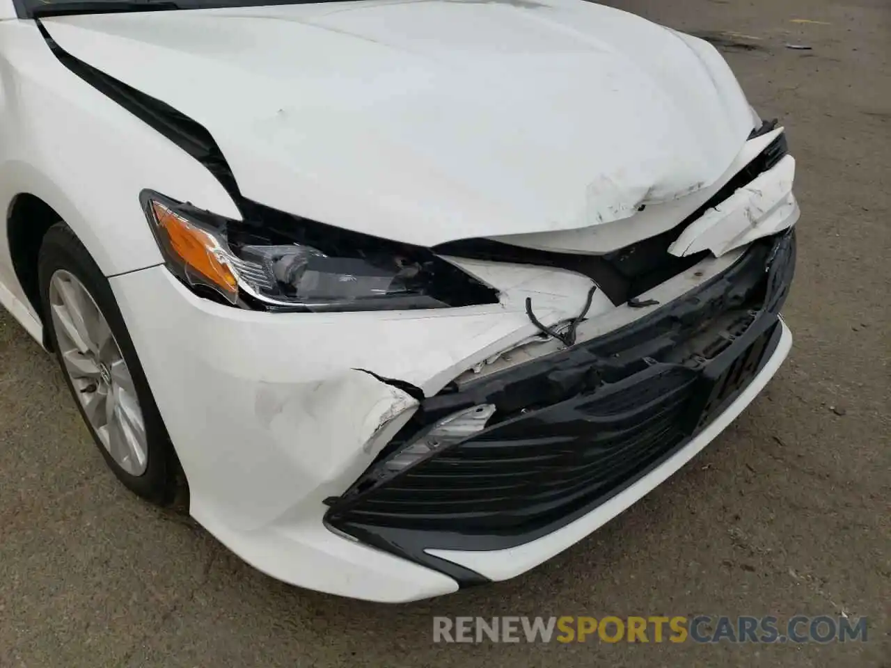 9 Photograph of a damaged car 4T1B11HK4KU789570 TOYOTA CAMRY 2019