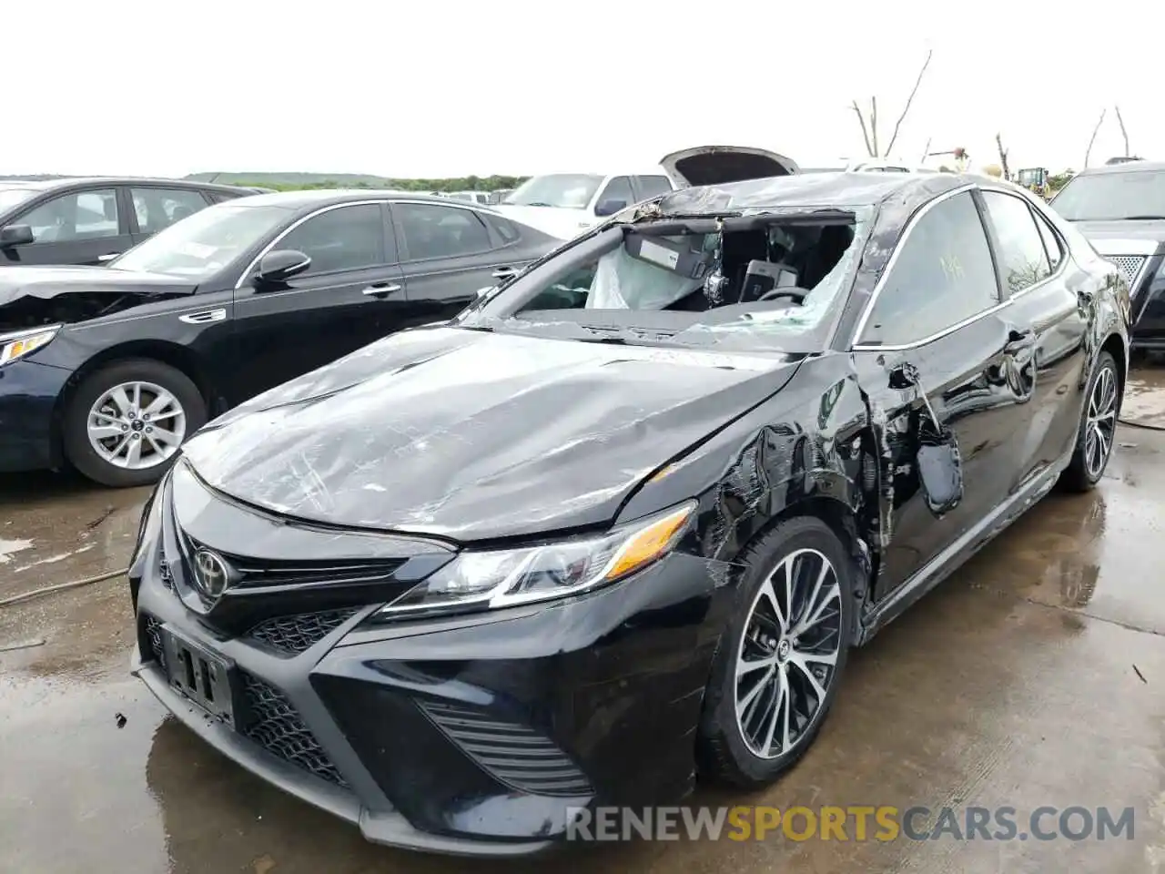 2 Photograph of a damaged car 4T1B11HK5KU169746 TOYOTA CAMRY 2019