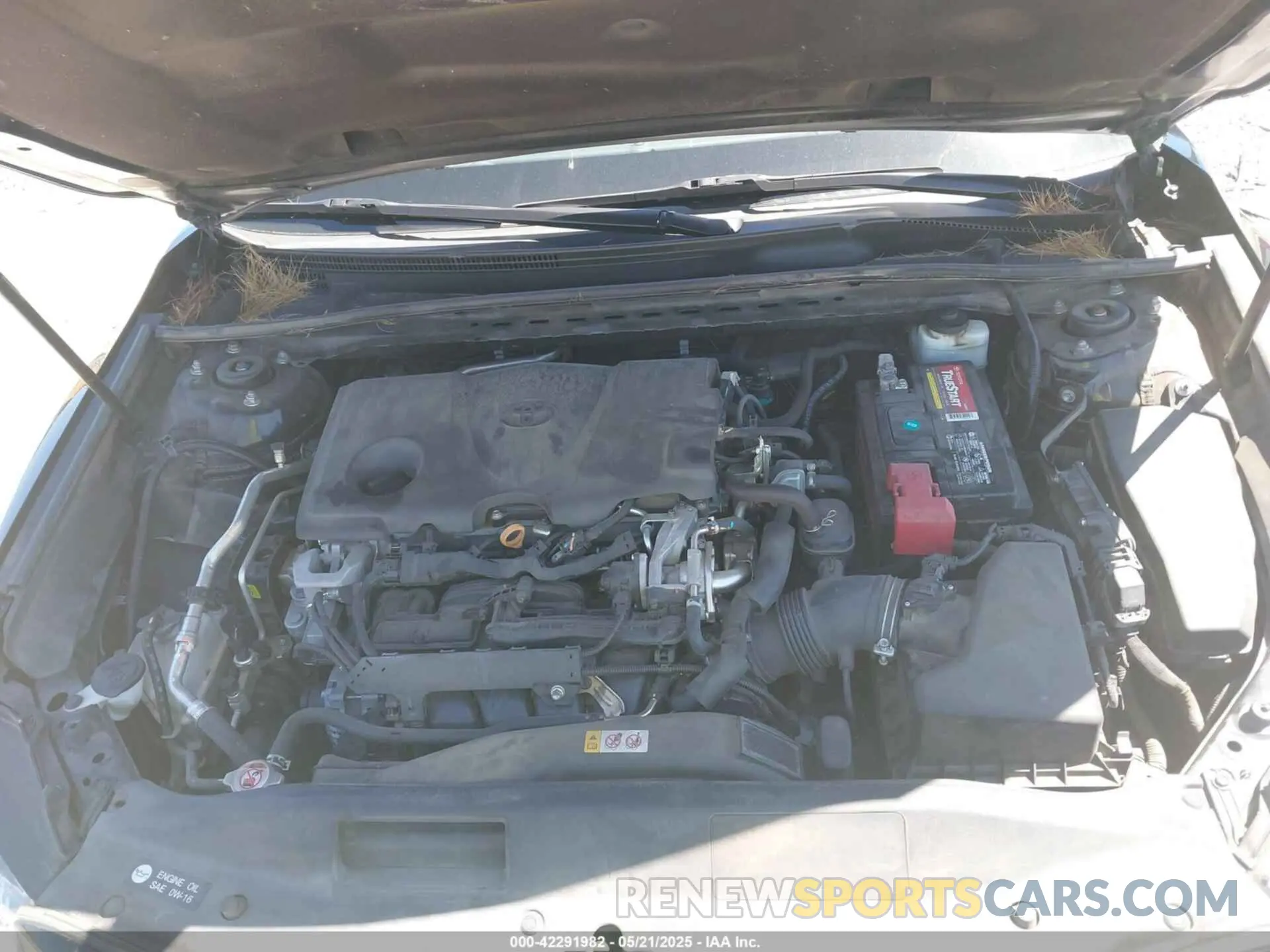 10 Photograph of a damaged car 4T1B11HK5KU180665 TOYOTA CAMRY 2019