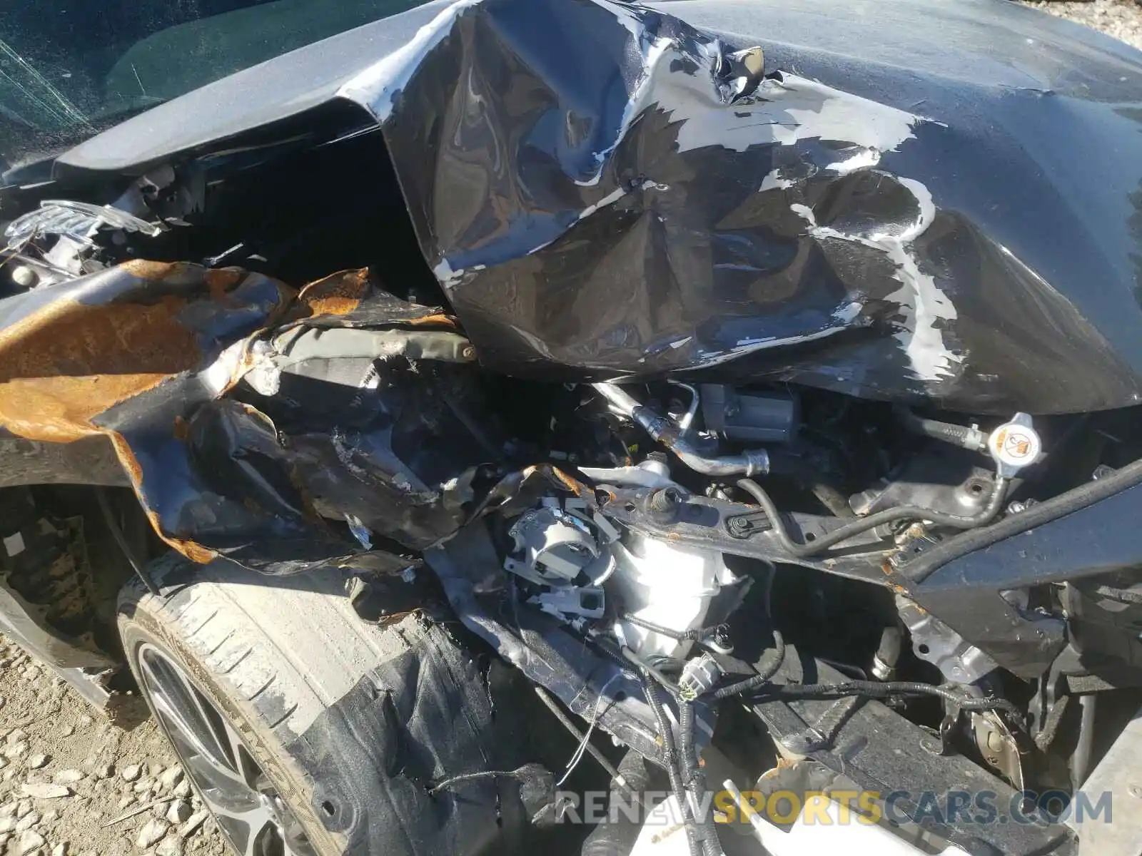 9 Photograph of a damaged car 4T1B11HK5KU181184 TOYOTA CAMRY 2019