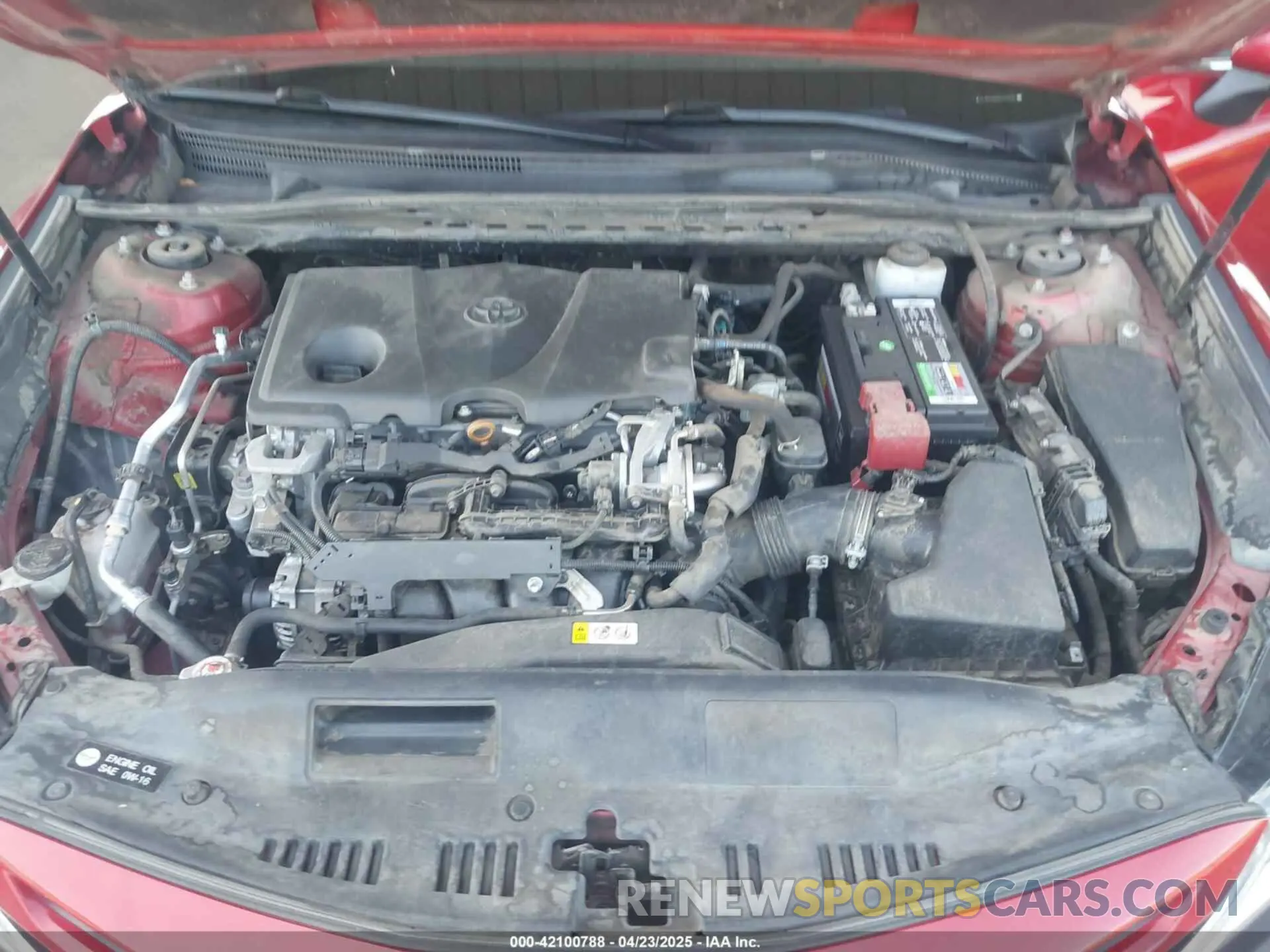 10 Photograph of a damaged car 4T1B11HK5KU220436 TOYOTA CAMRY 2019